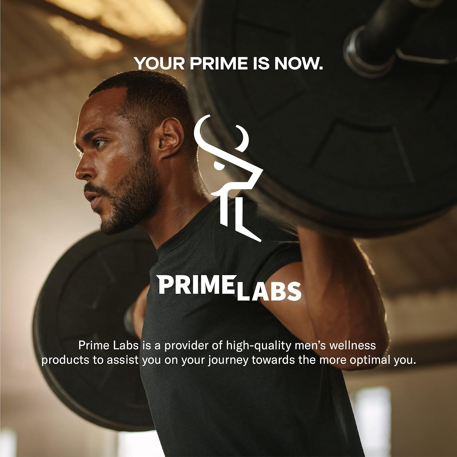 Prime Labs Prime Test Capsules with Creatine HCl for Enhanced Performance