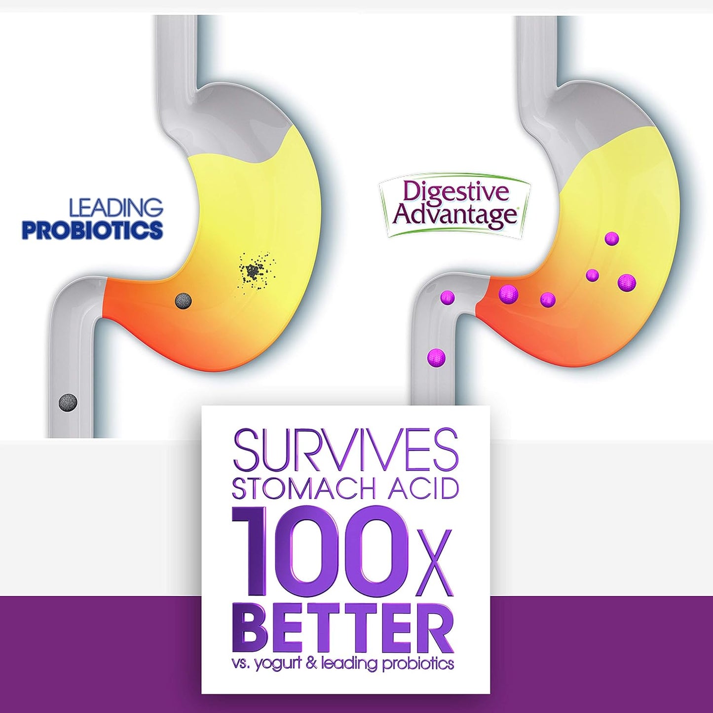 Probiotic Bundle for Digestive & Immune Support - Daily Probiotic Capsules (80ct) & IBS Capsules (96ct) for Men & Women