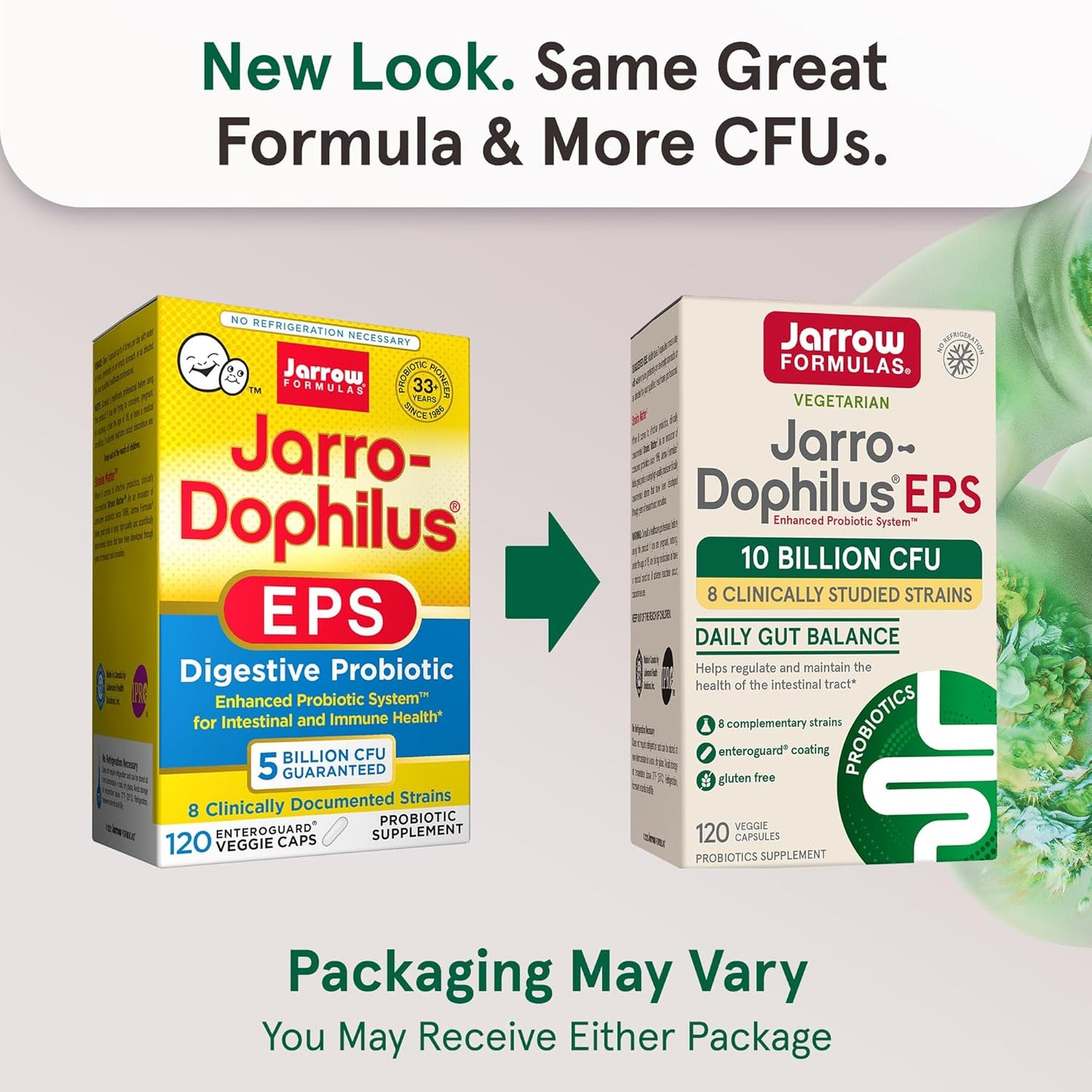 Probiotics and MagMind Brain Health Bundle by Jarrow Formulas - 10 Billion CFU
