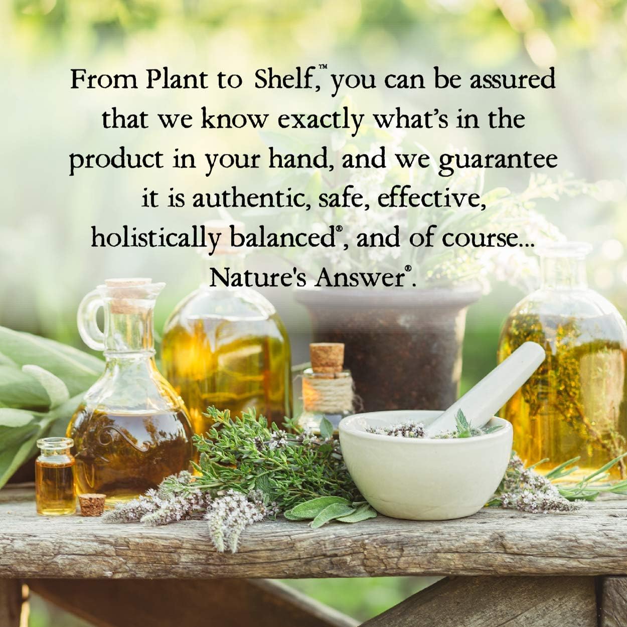 Professional Strength Nature's Answer Bio Pro Maitake Mushroom Extract - 2 oz Liquid, Alcohol-Free for Immune Support