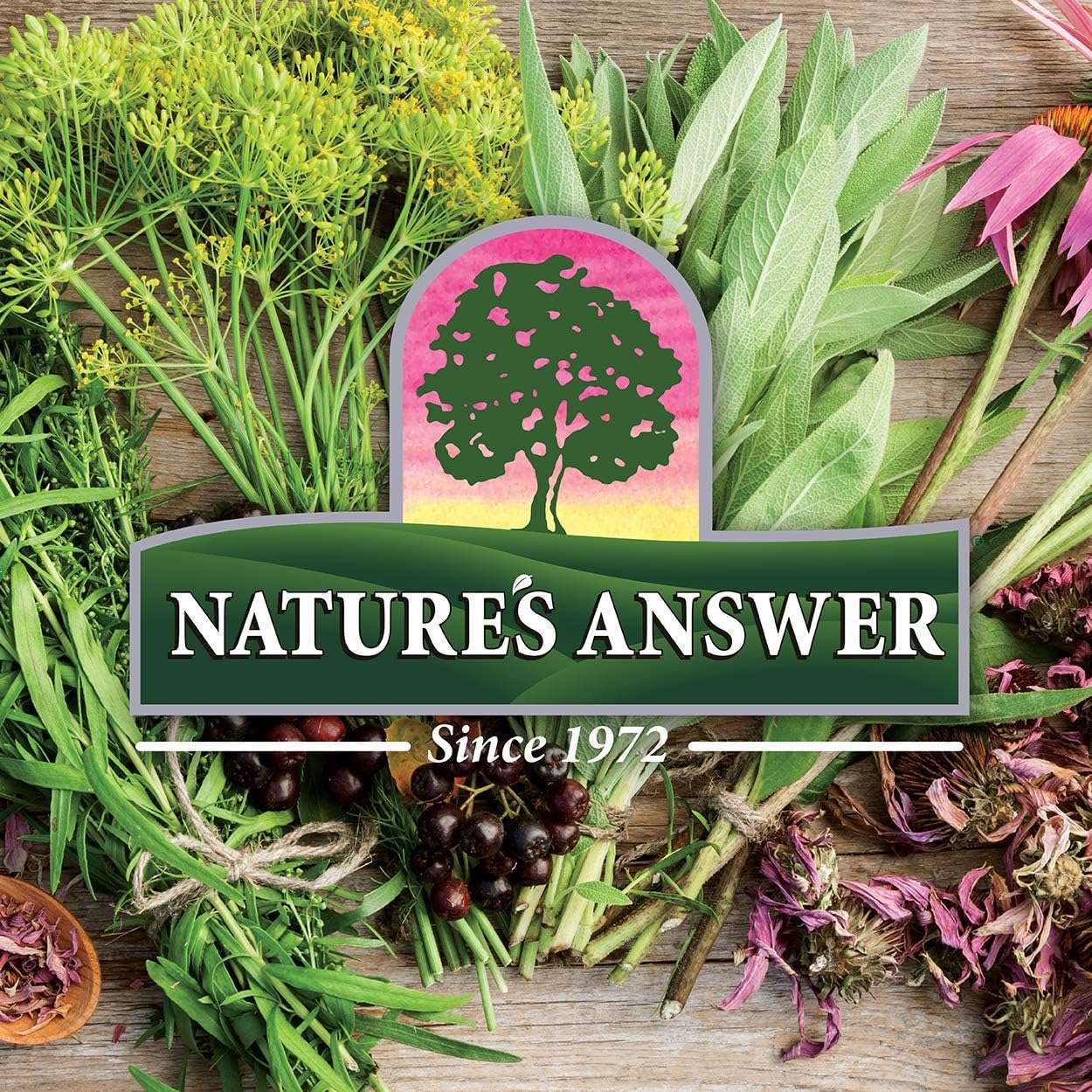 Professional Strength Nature's Answer Bio Pro Maitake Mushroom Extract - 2 oz Liquid, Alcohol-Free for Immune Support