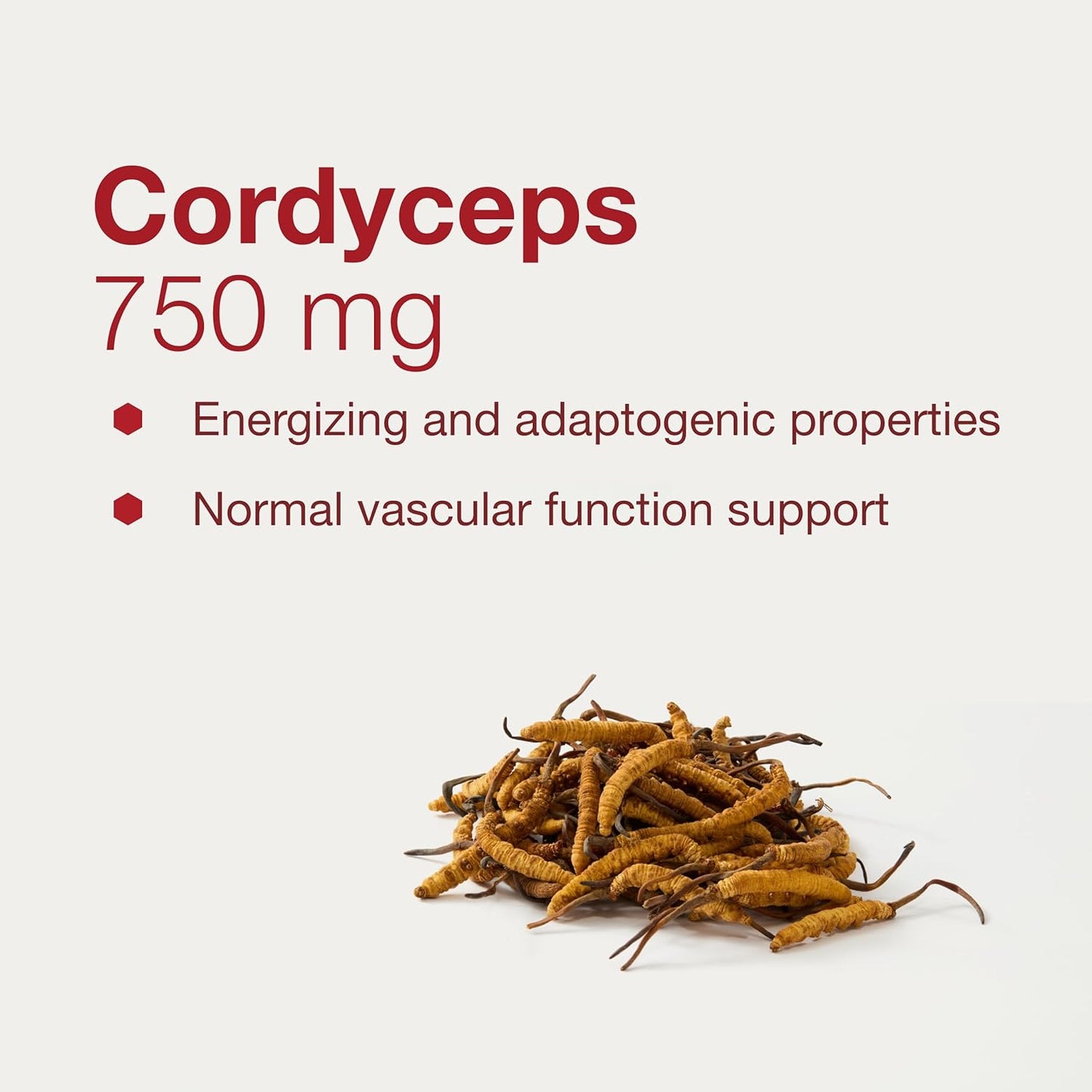 Protocol Cordyceps 750mg Capsules - Immune and Vascular Health Support - Non-GMO - 90 Veg Caps - Protocol for Life Balance