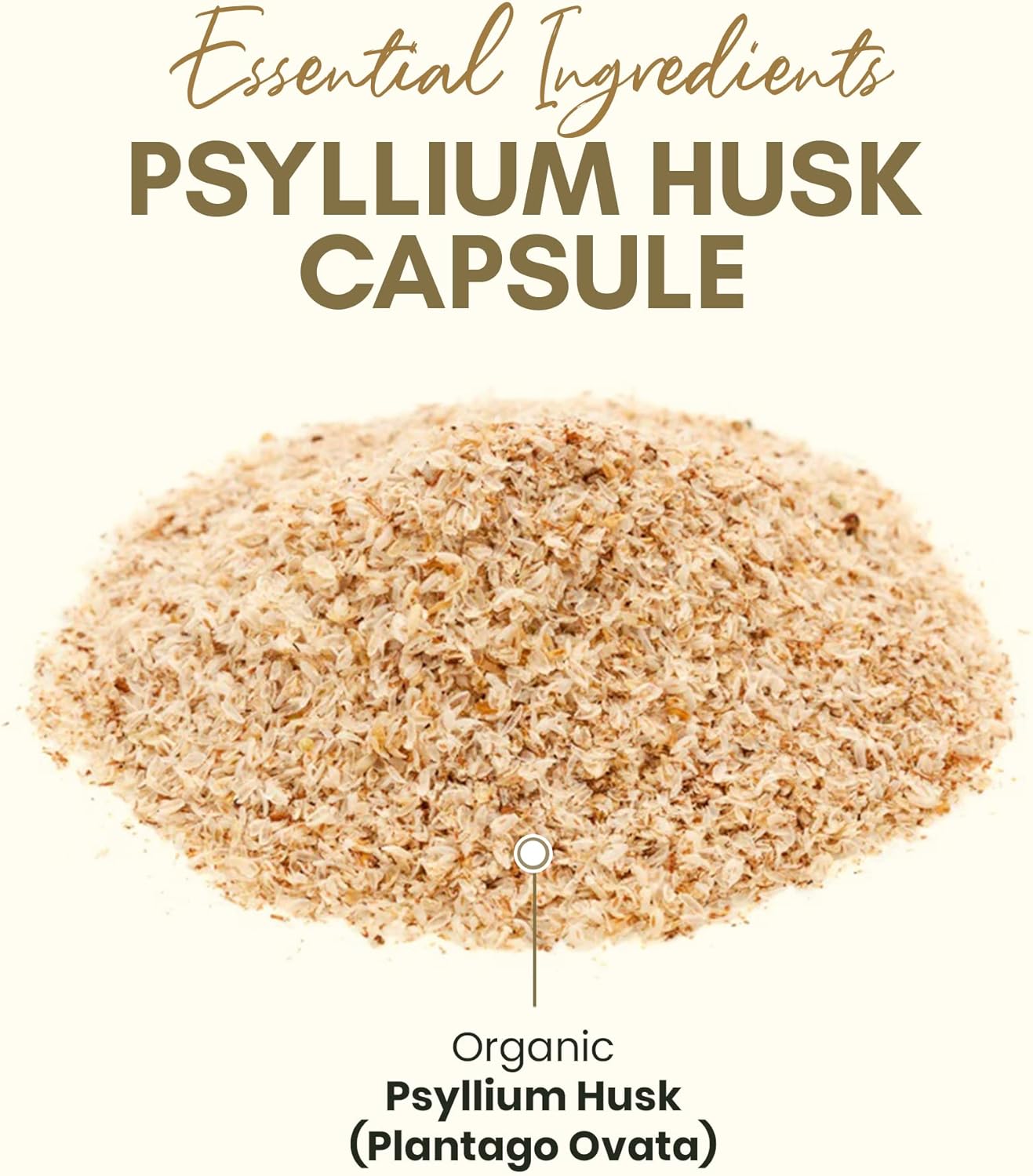 Psyllium Husk Capsules for Gut Health - 500 All-Natural Fiber Capsules, Vegan & Gluten-Free, Pack of 2