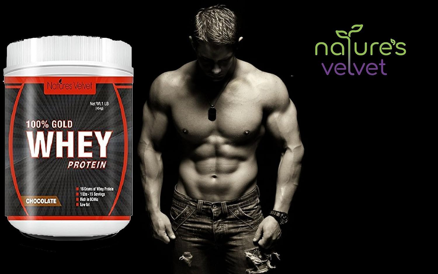 Pub Gold Standard 100% Whey Protein Powder, Double Rich Chocolate Flavor, 1lb - 1 Pack