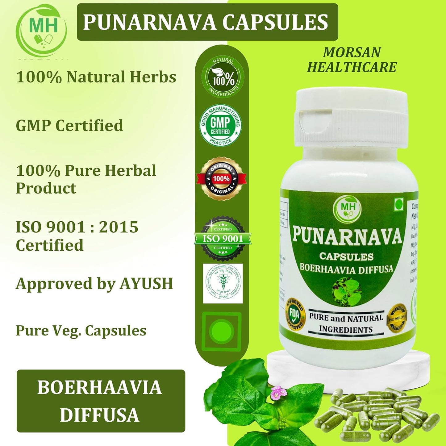 Punarnava Capsules - Natural Herbal Veg. Capsules, Pack of 60 x 500 mg by Morsan Healthcare