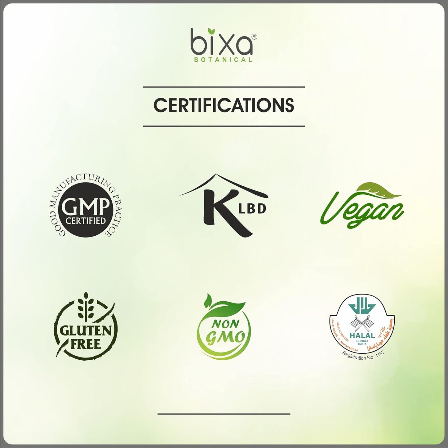 Pure Bixa BOTANICAL Amla Powder: Ideal Vitamin C Supplement for Immunity & Energy Boost (200g)