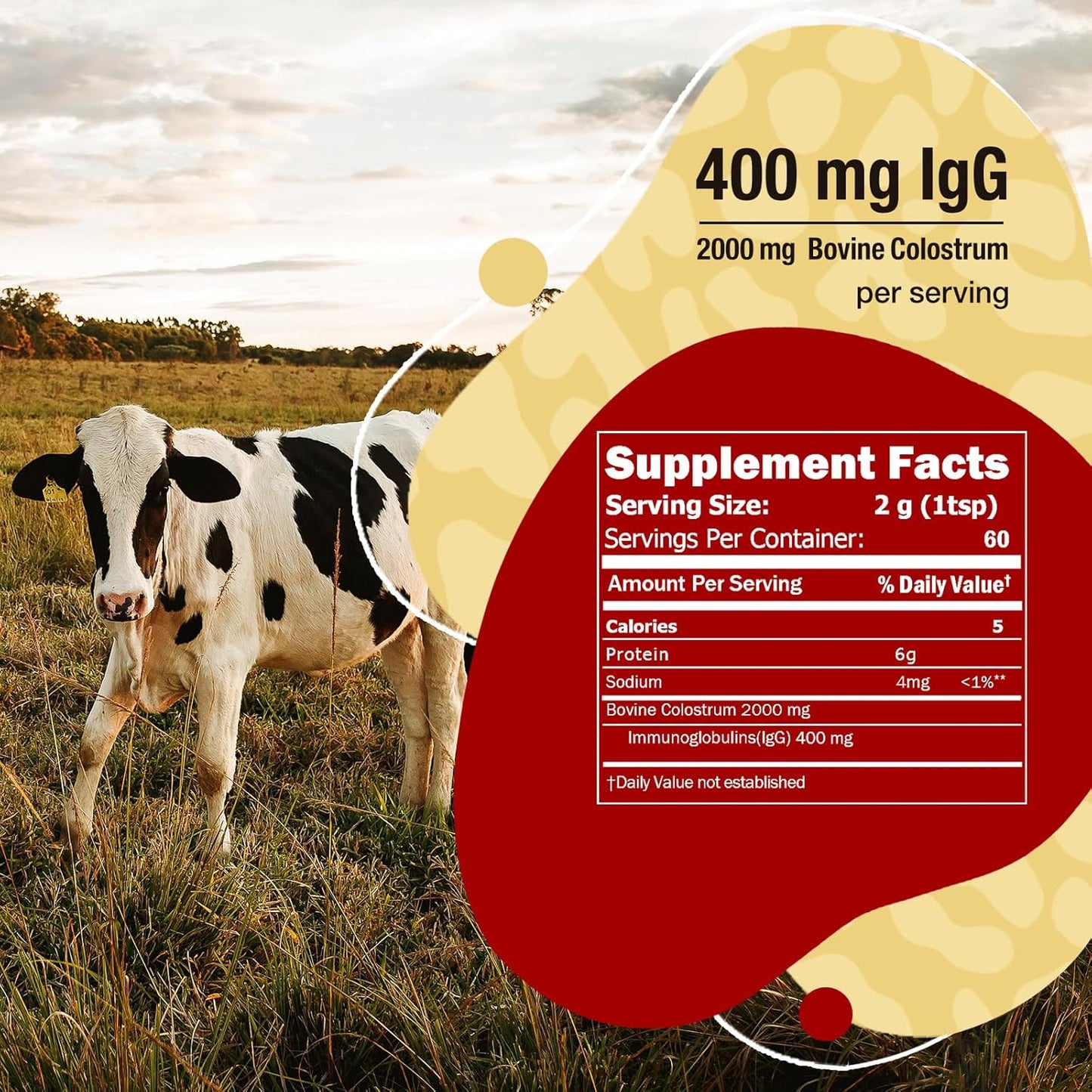 Pure Bovine Colostrum Powder - 20% IgG Concentration, Gluten-Free Superfood, Unflavored, 60 Servings