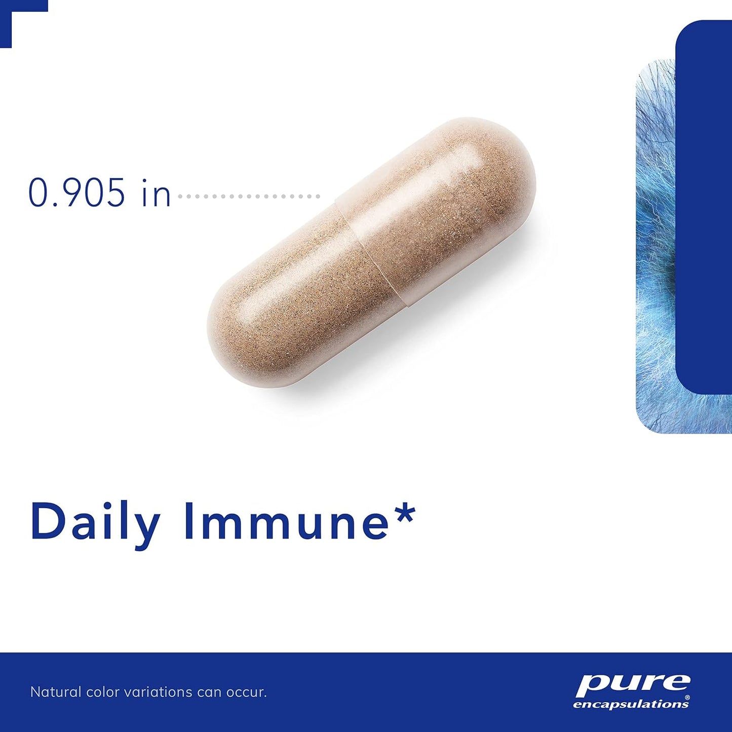 Pure Encapsulations Daily Immune Support Supplement with Vitamins, Minerals, and Herbs | 60 Capsules for Immune Health
