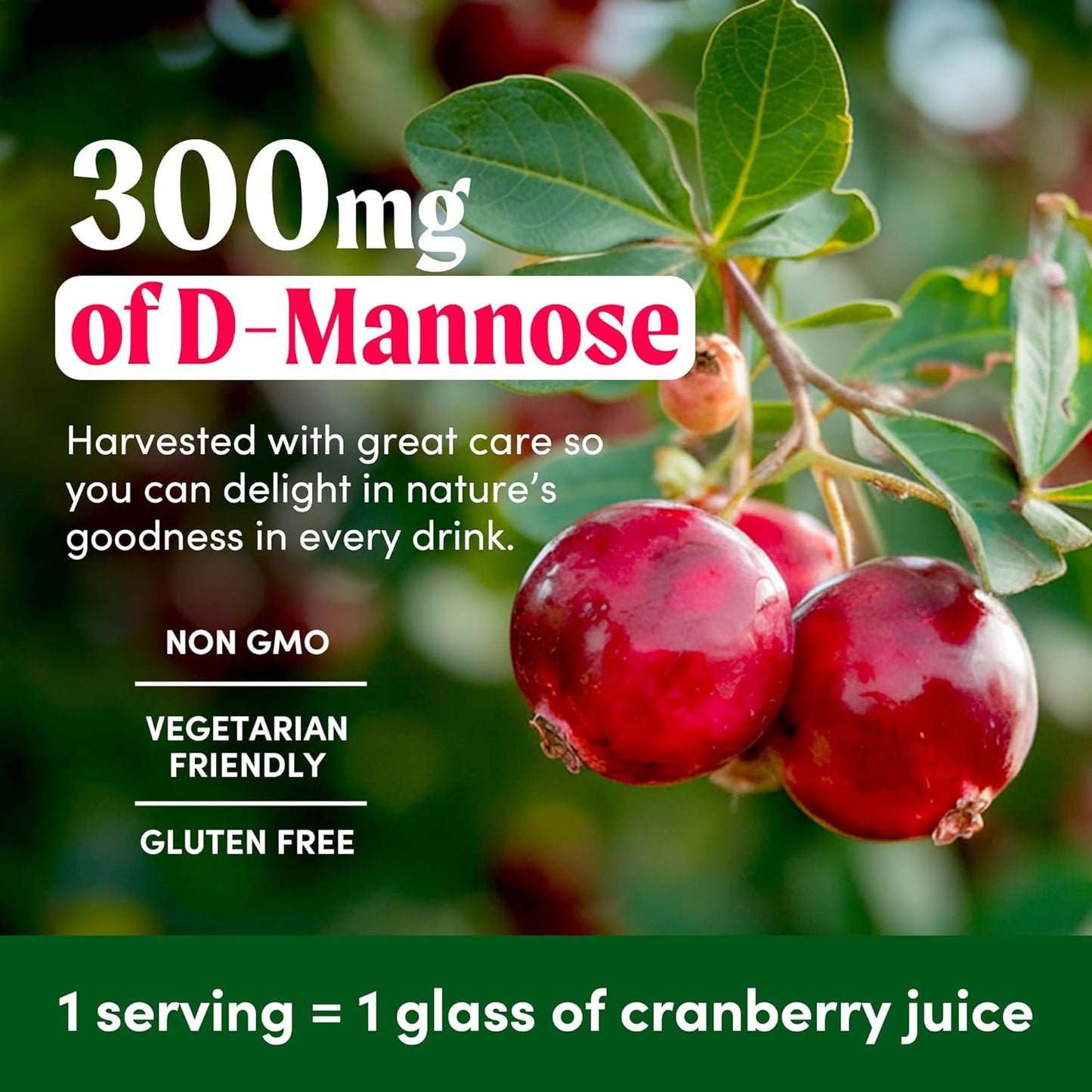 Quench UTI Relief Effervescent Tablets - Fast-Acting Urinary Tract Support - Natural Cranberry Flavor - Sugar-Free - 30 Tablets