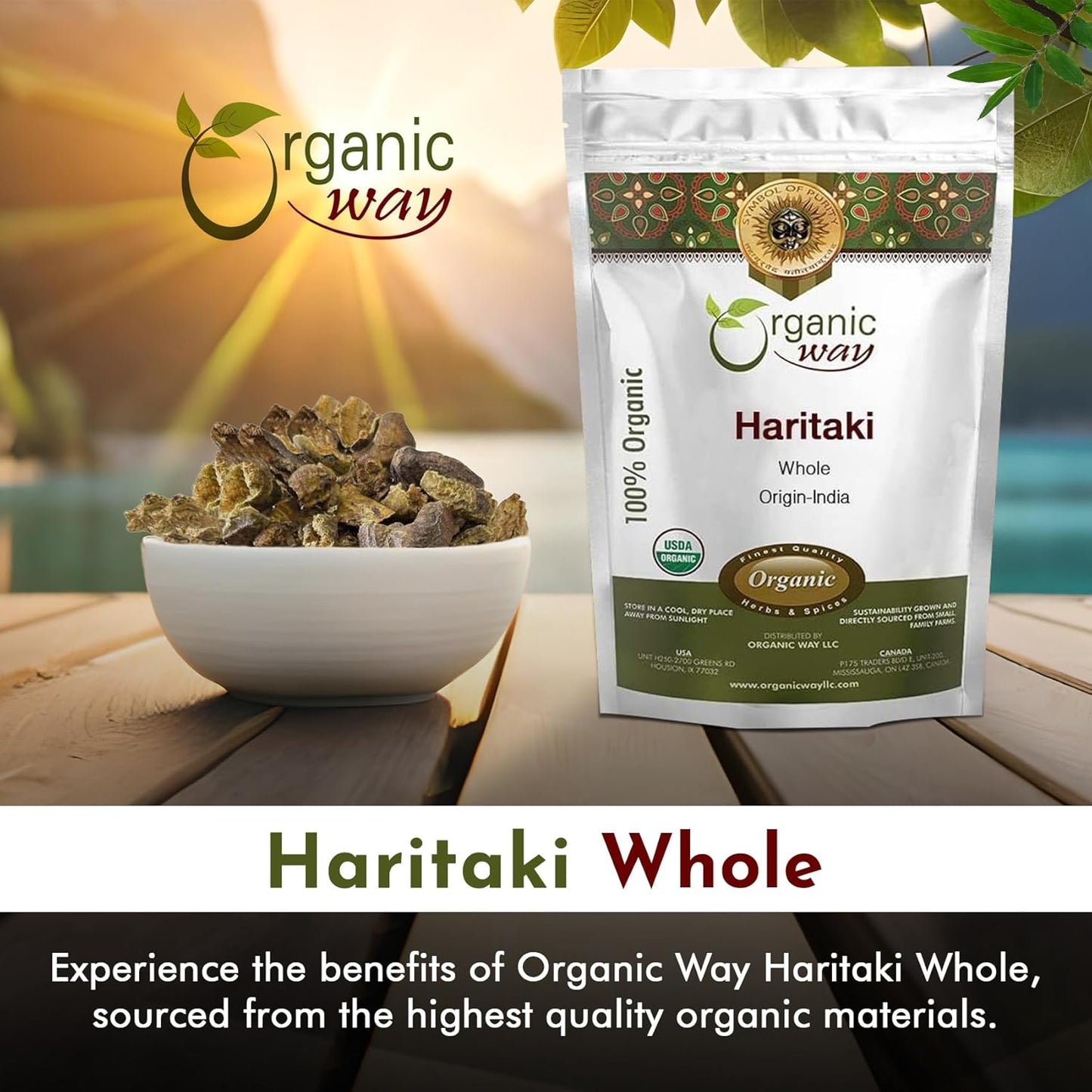 Raw Organic Haritaki Whole - Terminalia Chebula (Yellow Myrobalan) from India - 100% Kosher & USDA Certified - Vegan, Non-GMO, Gluten Free - 16 oz