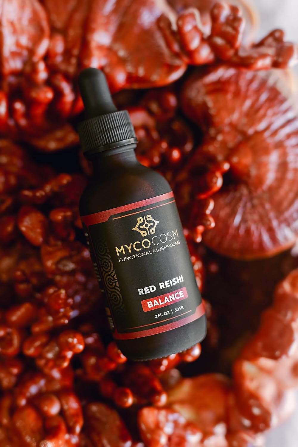 Reishi Mushroom Extract Supplement for Immune Support and Longevity - Ganoderma Lucidum Adaptogen for Balance and Wellness