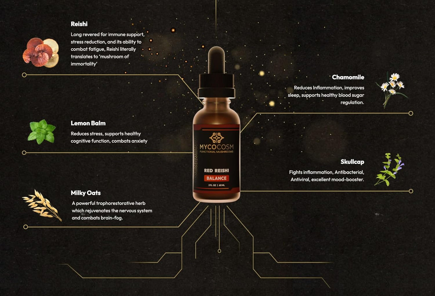 Reishi Mushroom Extract Supplement for Immune Support and Longevity - Ganoderma Lucidum Adaptogen for Balance and Wellness