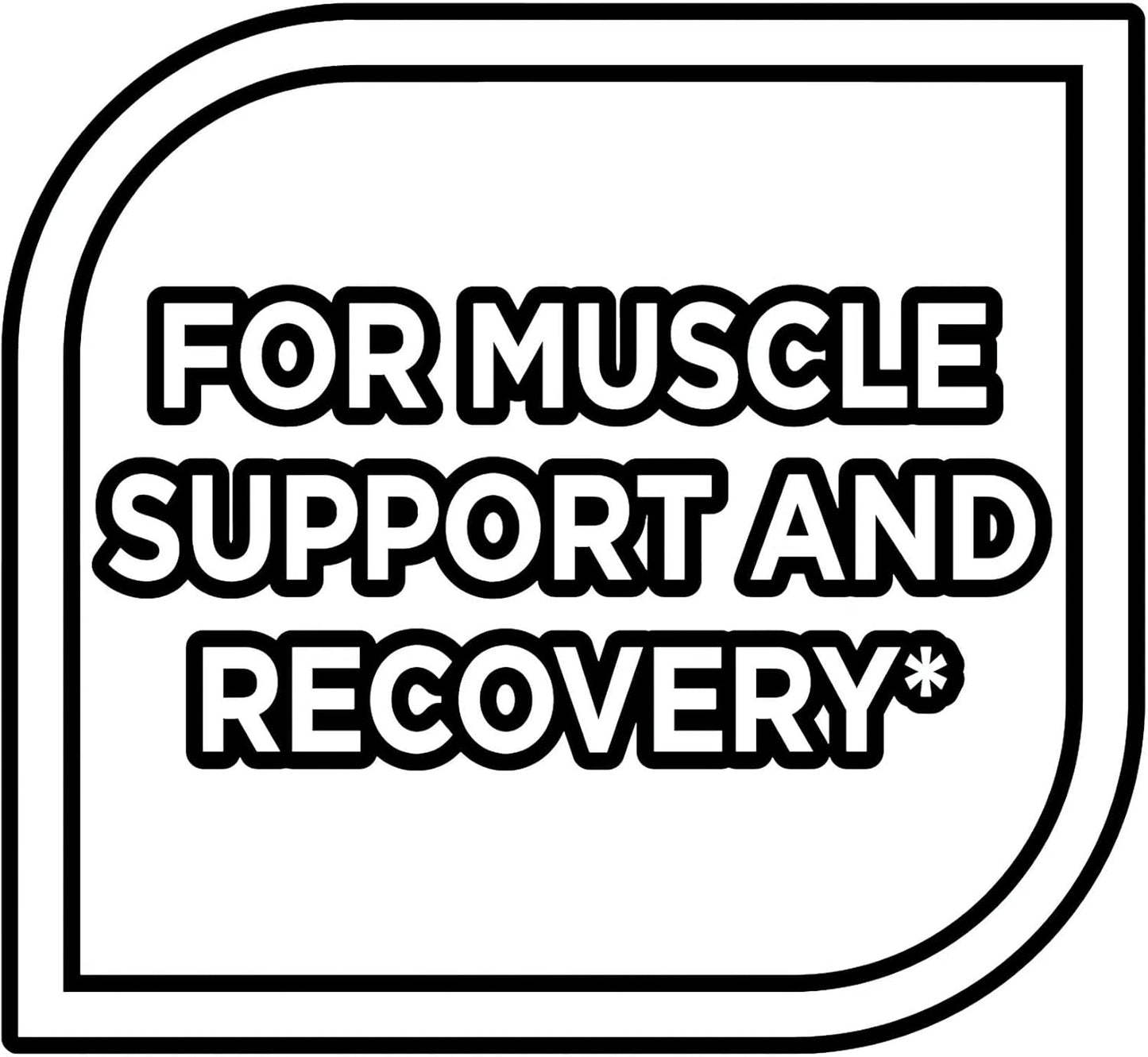 Rich Chocolate Whey Protein Powder - 24g Protein, 5.5g BCAAs, Whey Isolate Blend - Muscle Recovery Supplement, 1.5 lbs