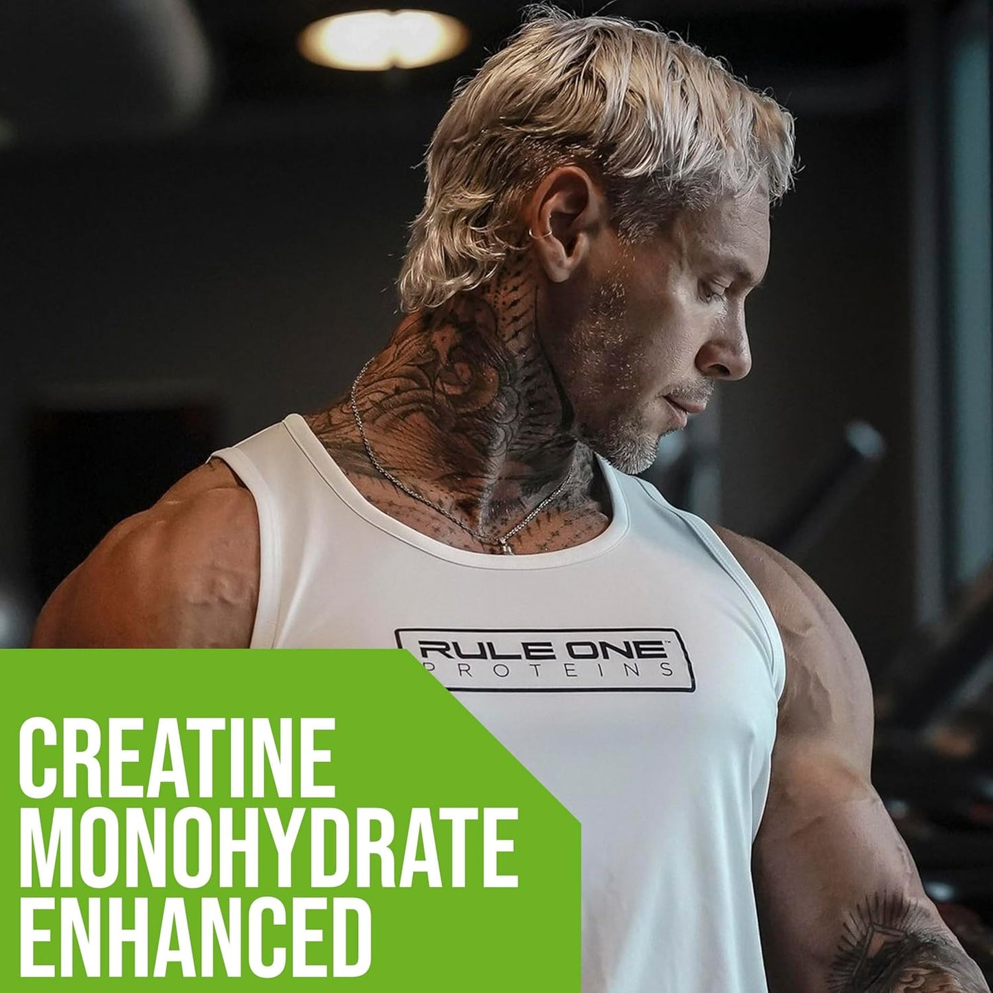 Rule One Proteins Mass Gainer - Chocolate Peanut Butter, High-Calorie Weight Gain Formula with 1,220+ Calories, 250g+ Complex Carb Blend, 40g All-Whey Protein, 8g Fat Per Serving, 12 Pounds, 16 Servings