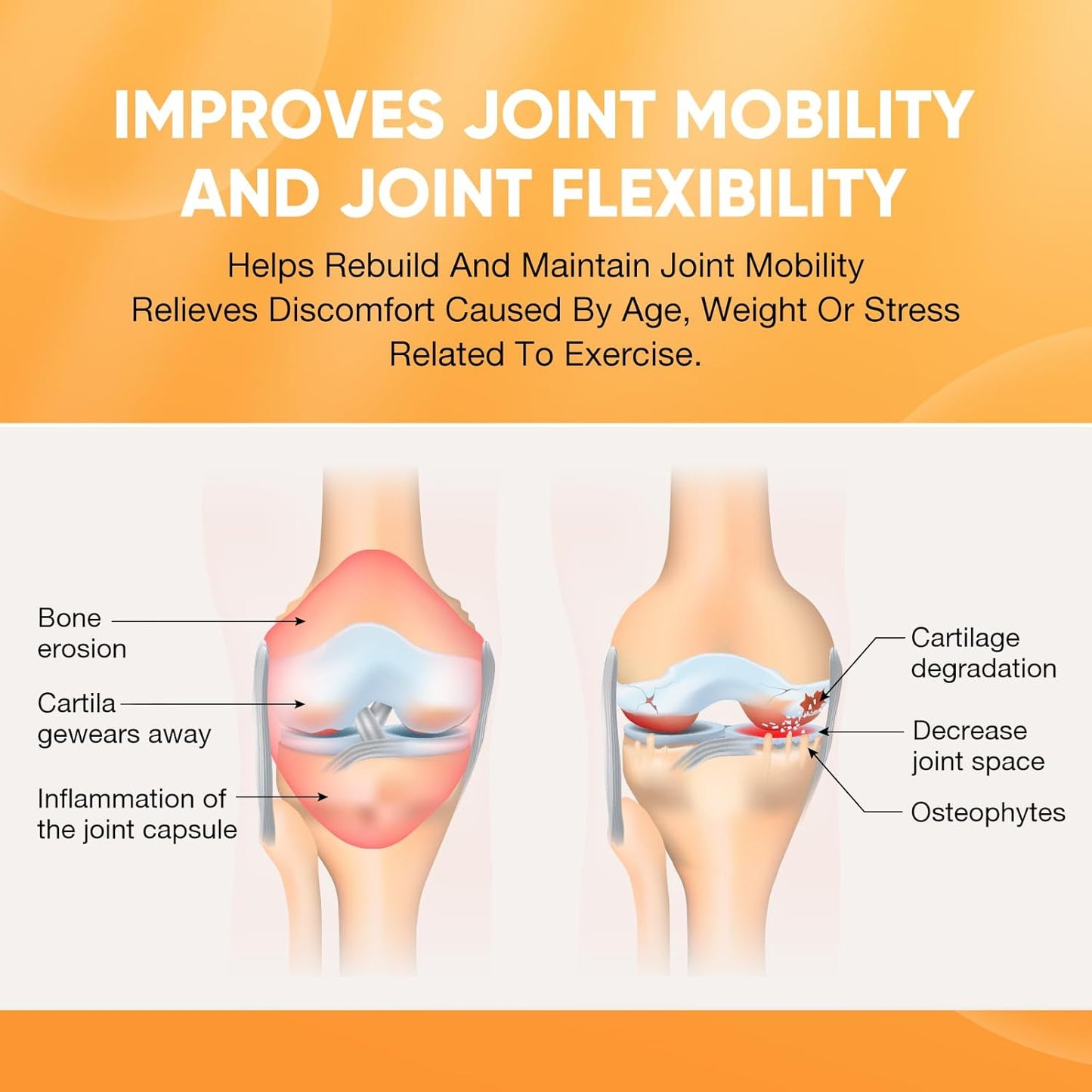 Shellfish-Free Glucosamine Chondroitin MSM with Vitamin D3 | Joint Support Supplement for Inflammatory Response, Flexibility, and Bone Health