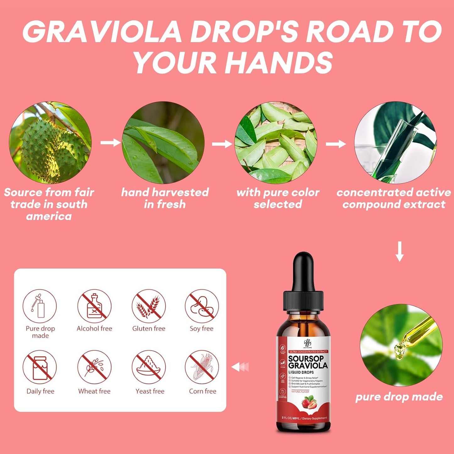Soursop Graviola Liquid Drops with Natural Leaves & Fruit Complex - Strawberry Flavor, 2 Fl Oz - Sugar/Caffeine/Gluten Free