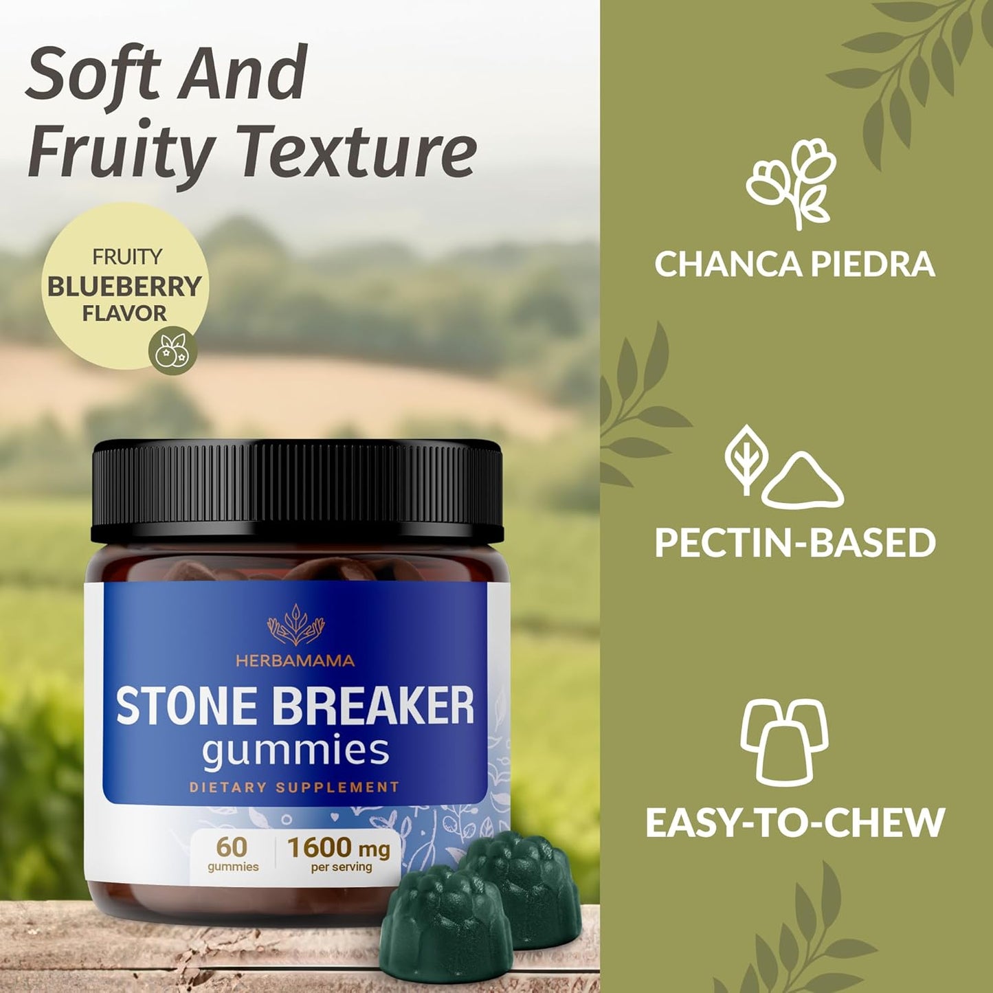 Stone Breaker & Magnesium Kit: 1600mg Chanca Piedra & 400mg Magnesium Citrate Gummies - Vegan, Non-GMO - 2 Pack