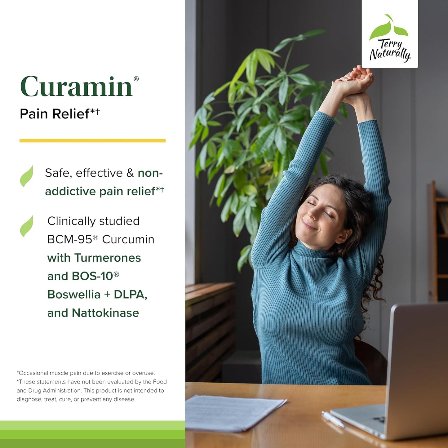 Terry Naturally Curamin Capsules - 90 Count - Curcumin, Boswellia, DLPA, Nattokinase - Non-GMO, Vegan, Gluten Free