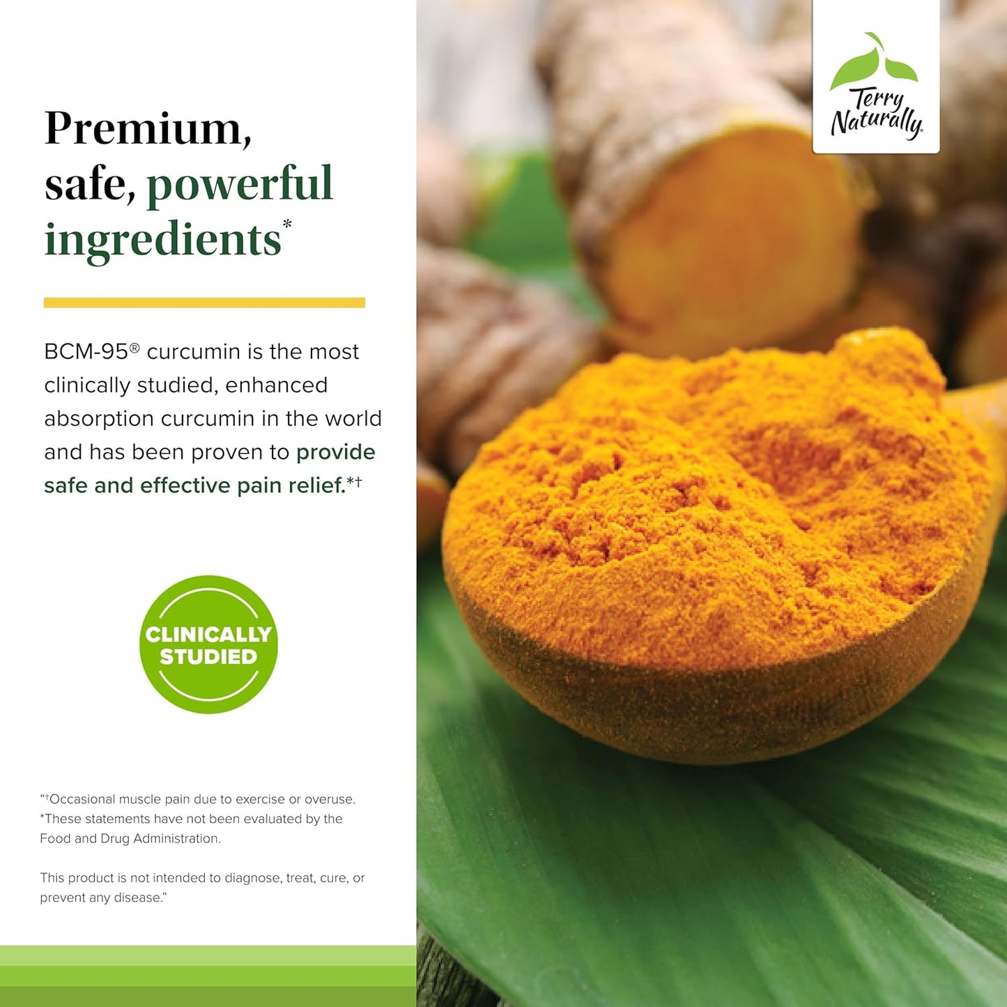 Terry Naturally Curamin Capsules - 90 Count - Curcumin, Boswellia, DLPA, Nattokinase - Non-GMO, Vegan, Gluten Free
