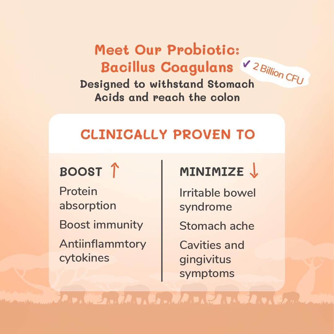 TINITUSK Tummy Buddy: Probiotic & Plant-Based Prebiotic Supplement for Digestion & Immunity, Gluten-Free
