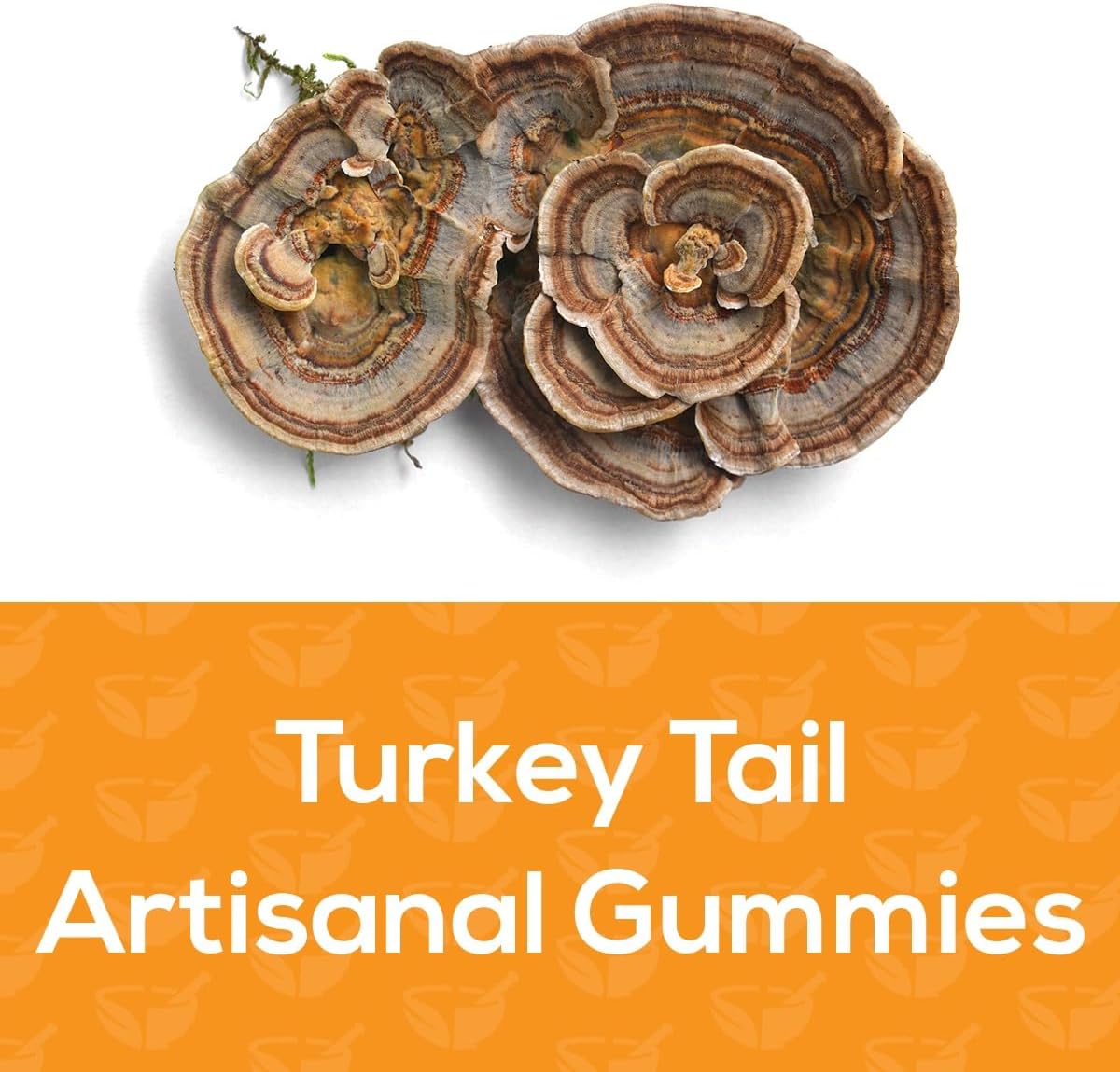 Turkey Tail Mushroom Gummies - Boost Immune Health & Gut Microbiome - Black Cherry Flavor - Vegan, Non-GMO - 120 Count