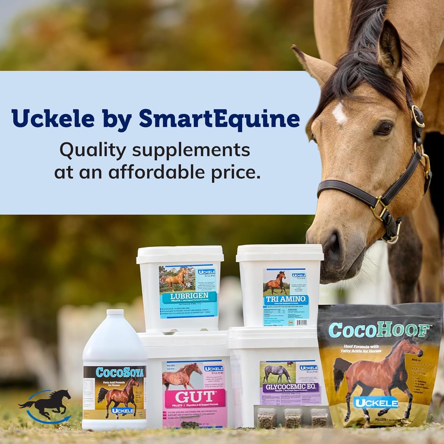 Uckele Equi Sweet Molasses with Stevia - Sugar-Free Liquid for Picky Eaters - 1 Gallon