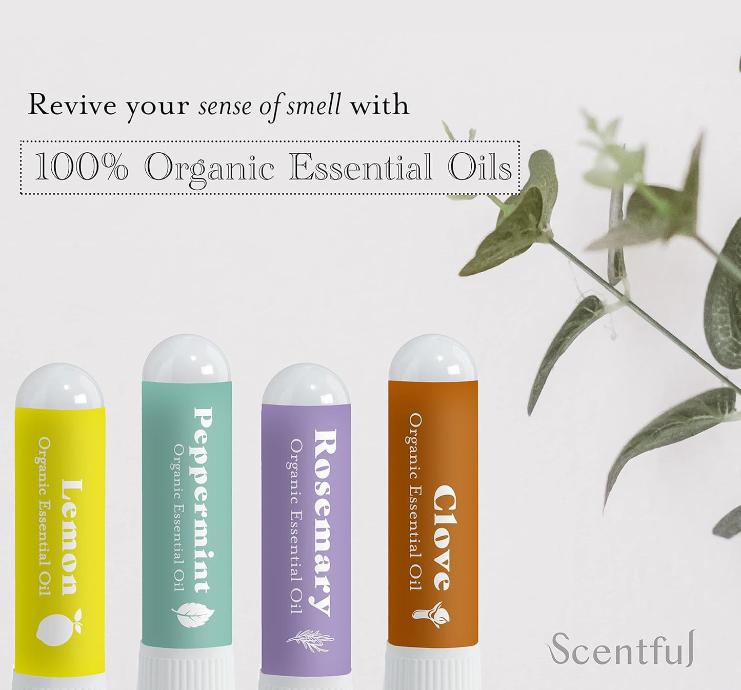 USA-Made Scentful Smell Training Kit: Restore Sense of Smell with Organic Essential Oils
