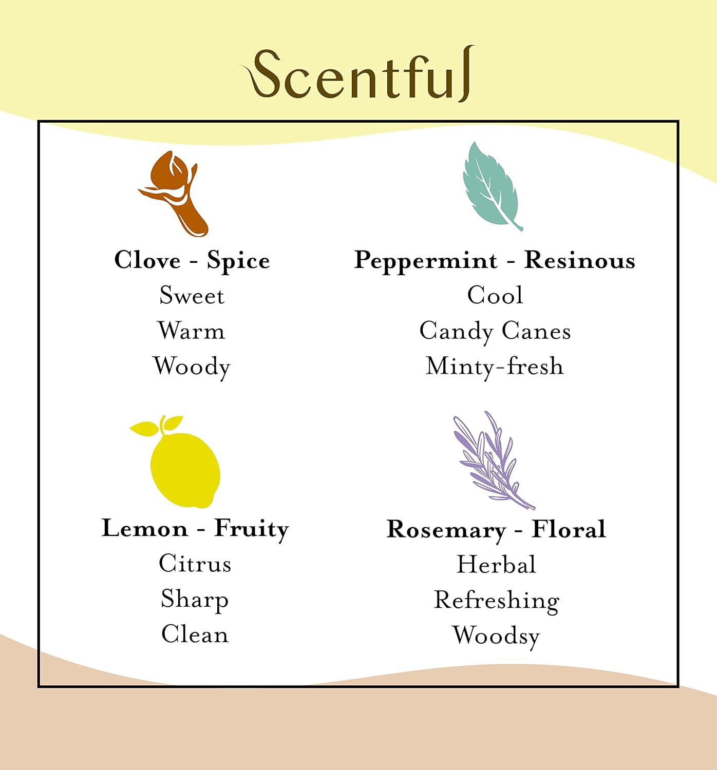 USA-Made Scentful Smell Training Kit: Restore Sense of Smell with Organic Essential Oils