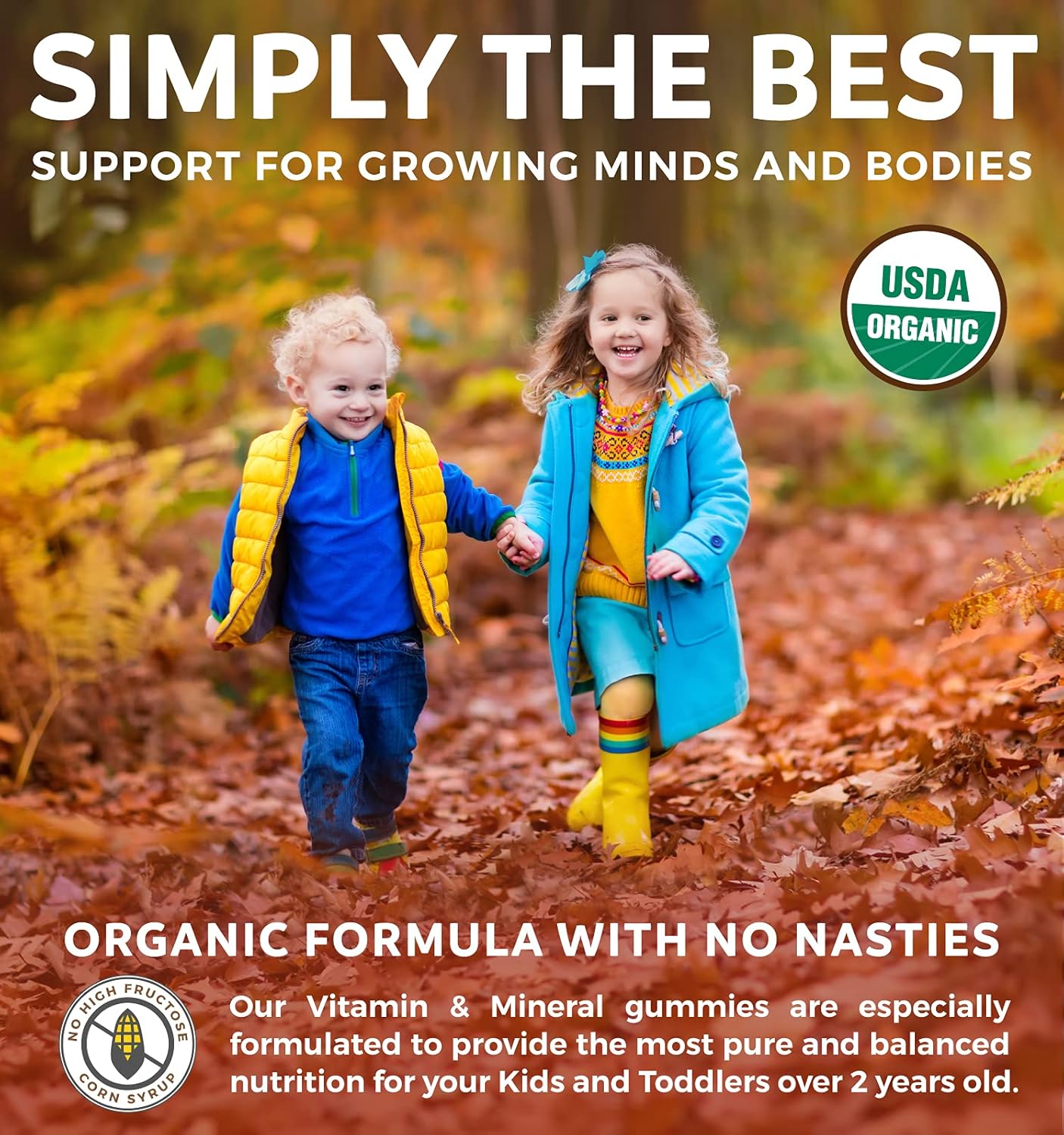 USDA Organic Kids Vitamin Gummies - Yummy Fruit Flavors - Complete Multivitamin with Vitamin C, D, B, A, Zinc - Energy, Mood, Immune Support - 60 Gummy Vitamins