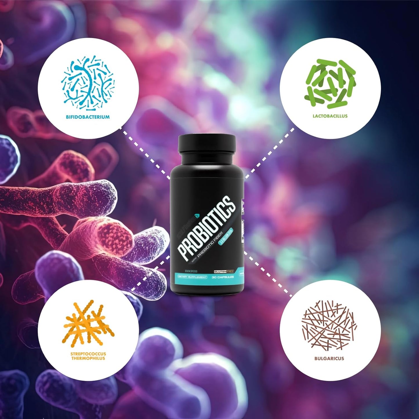 V Shred Sculpt Nation Probiotic and Apple Cider Vinegar Gummies Combo for Gut Health and Weight Management