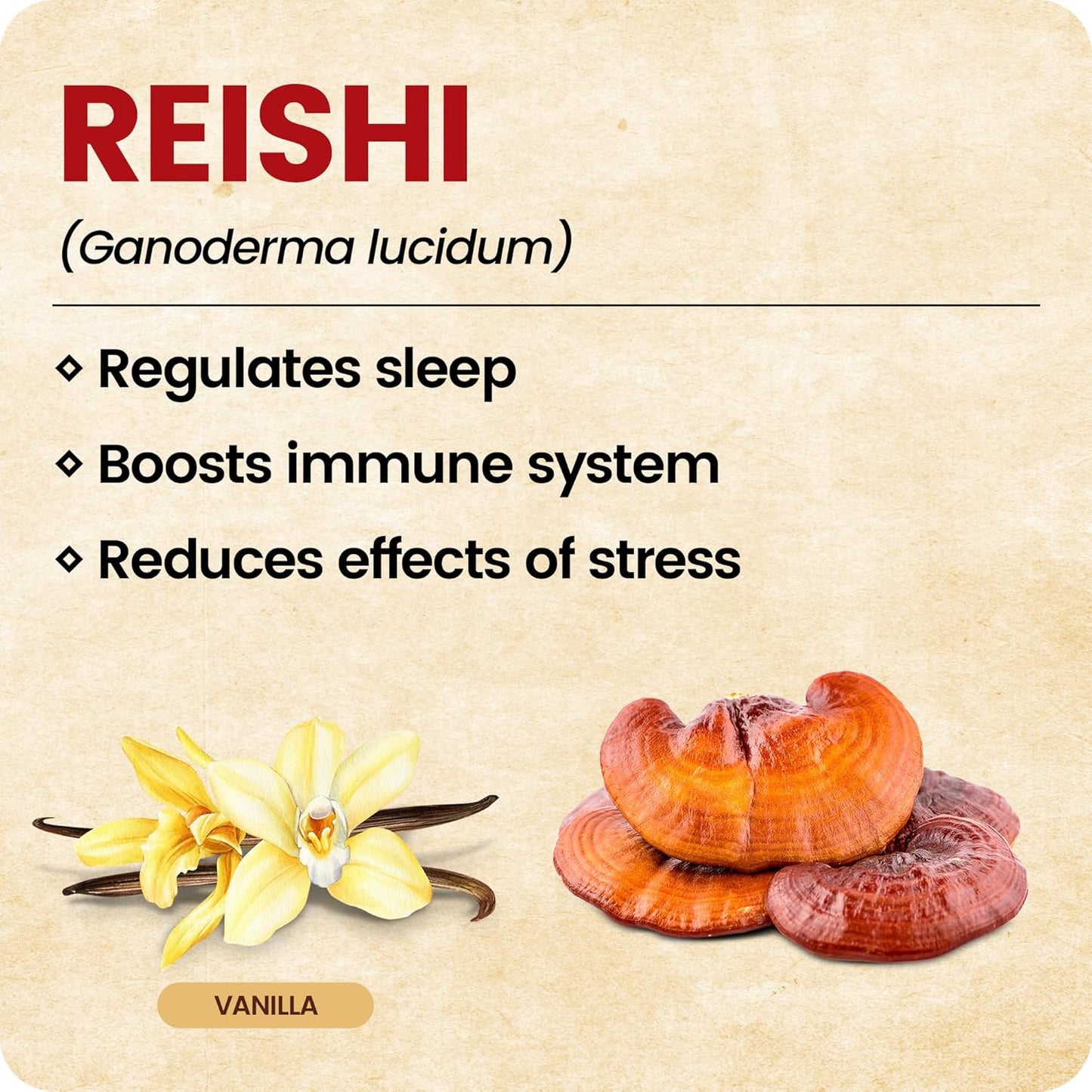Vanilla Flavored Reishi Mushroom Toothpicks for Longevity, Mood, Sleep, & Immune Support - 60 Picks by Xero Picks