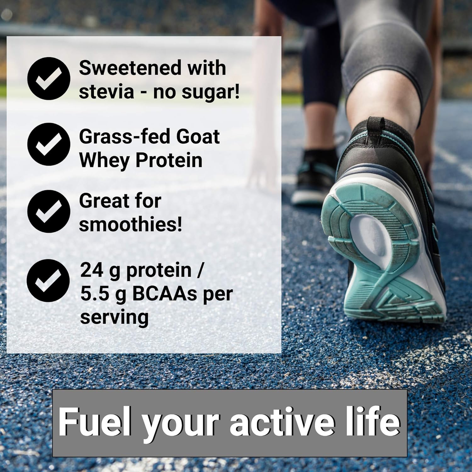 Vanilla Goat Whey Protein with Collagen and Clean Minerals for Hot Cocoa Lovers - Mt. Capra