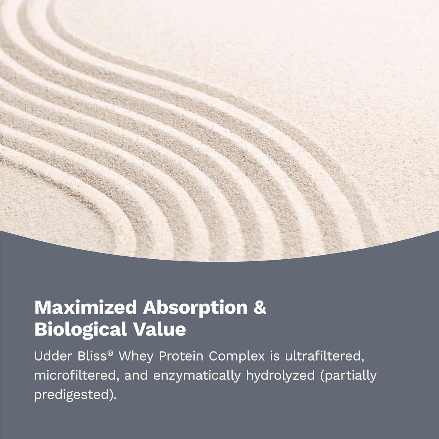 Vanilla Whey Protein Complex Powder with Glutamine - Hi-Health Udder Bliss (2lb)