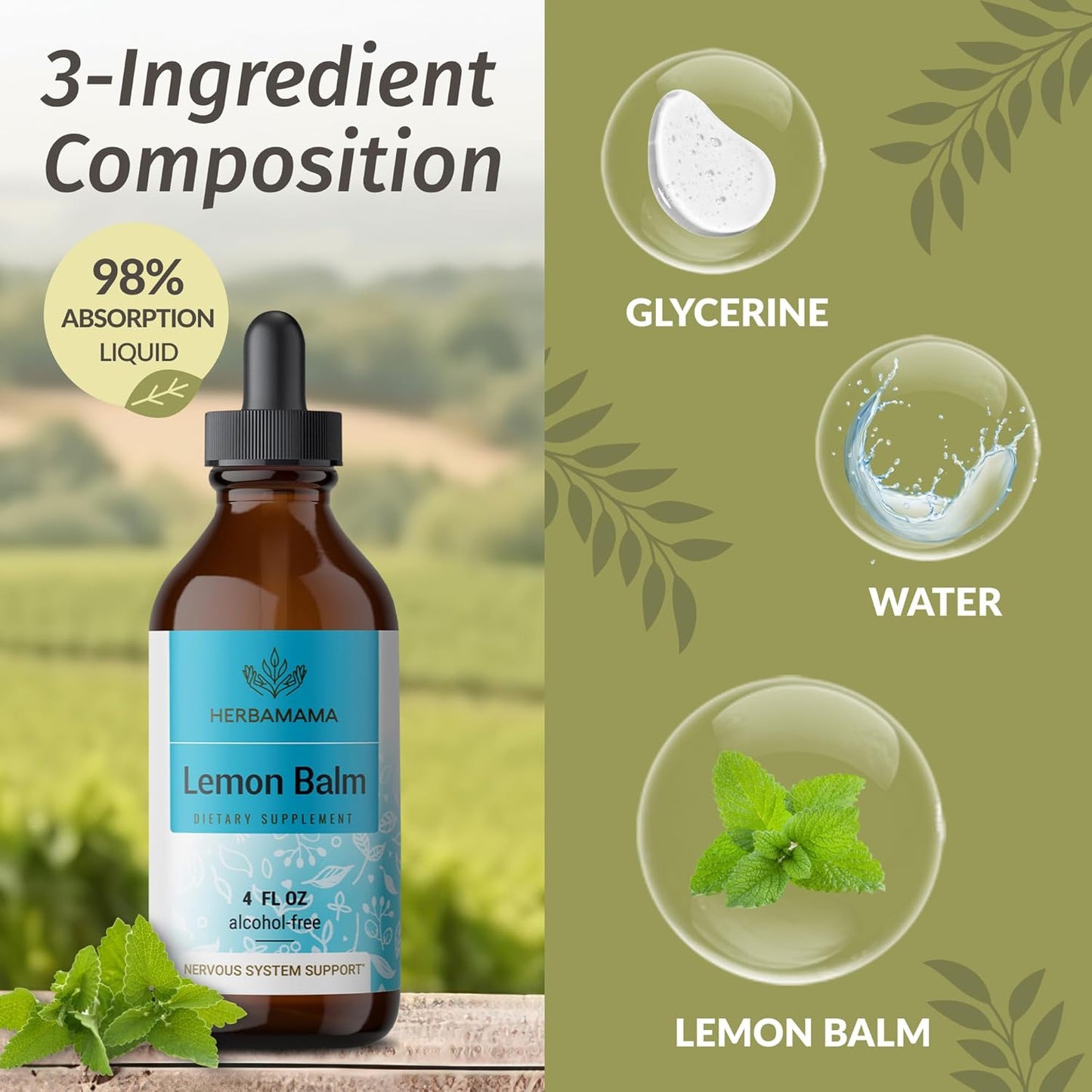 Vegan Lemon Balm Tincture for Calm Support - Liquid Calming Drops with Melissa Officinalis Extract - Non-GMO Relaxation Supplement, 56-Day Supply