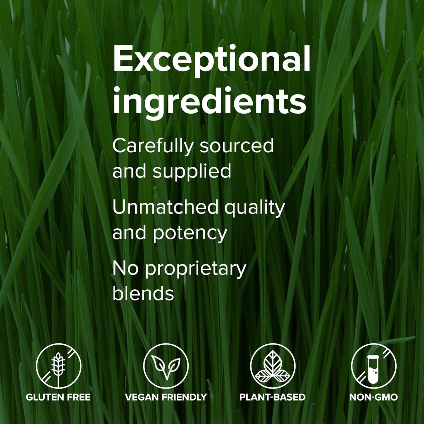 Vibrant Health Green Vibrance Packets - Vegan Superfood Powder, Travel-Friendly, 15 Packets, FFP