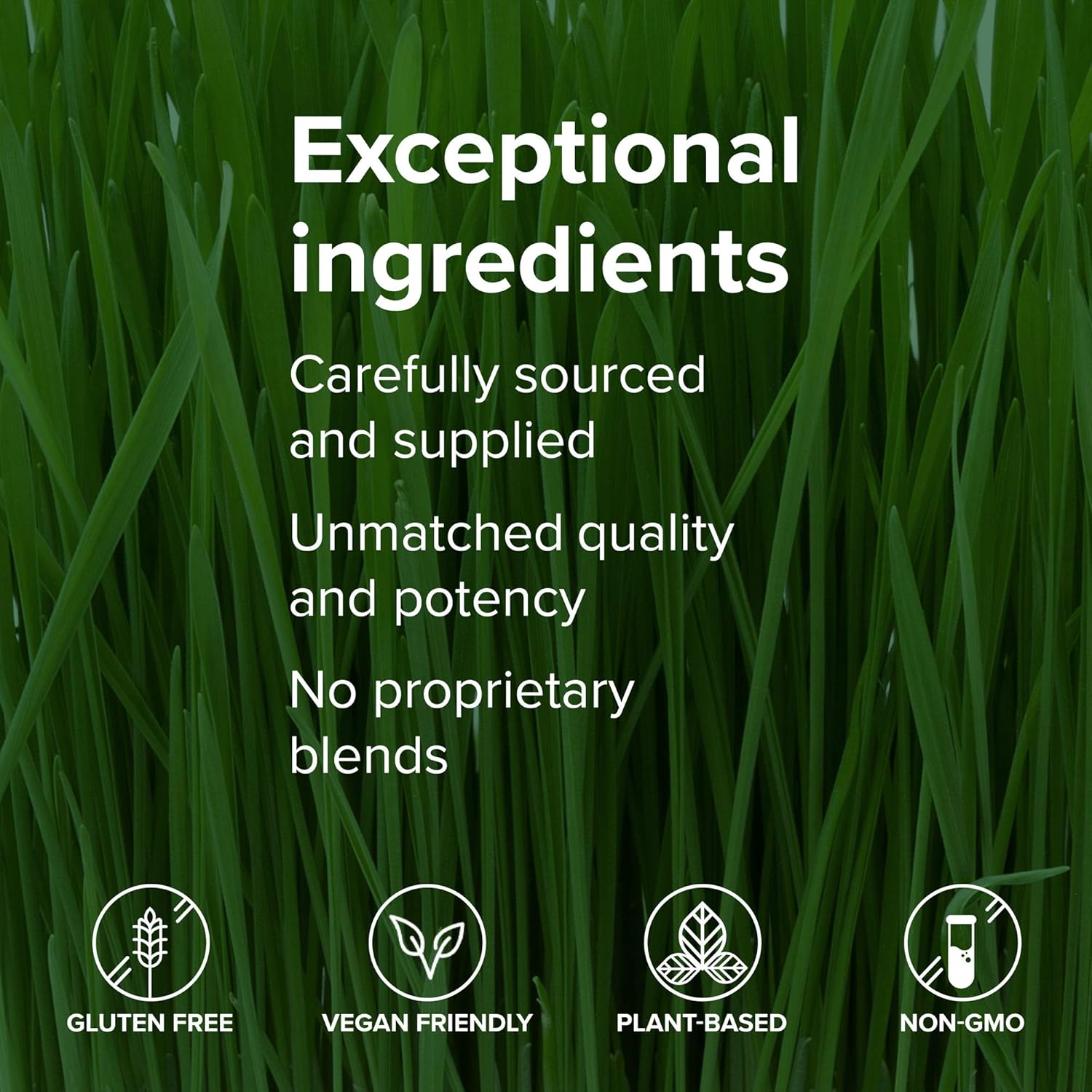 Vibrant Health Green Vibrance Packets - Vegan Superfood Powder, Travel-Friendly, 15 Packets, FFP