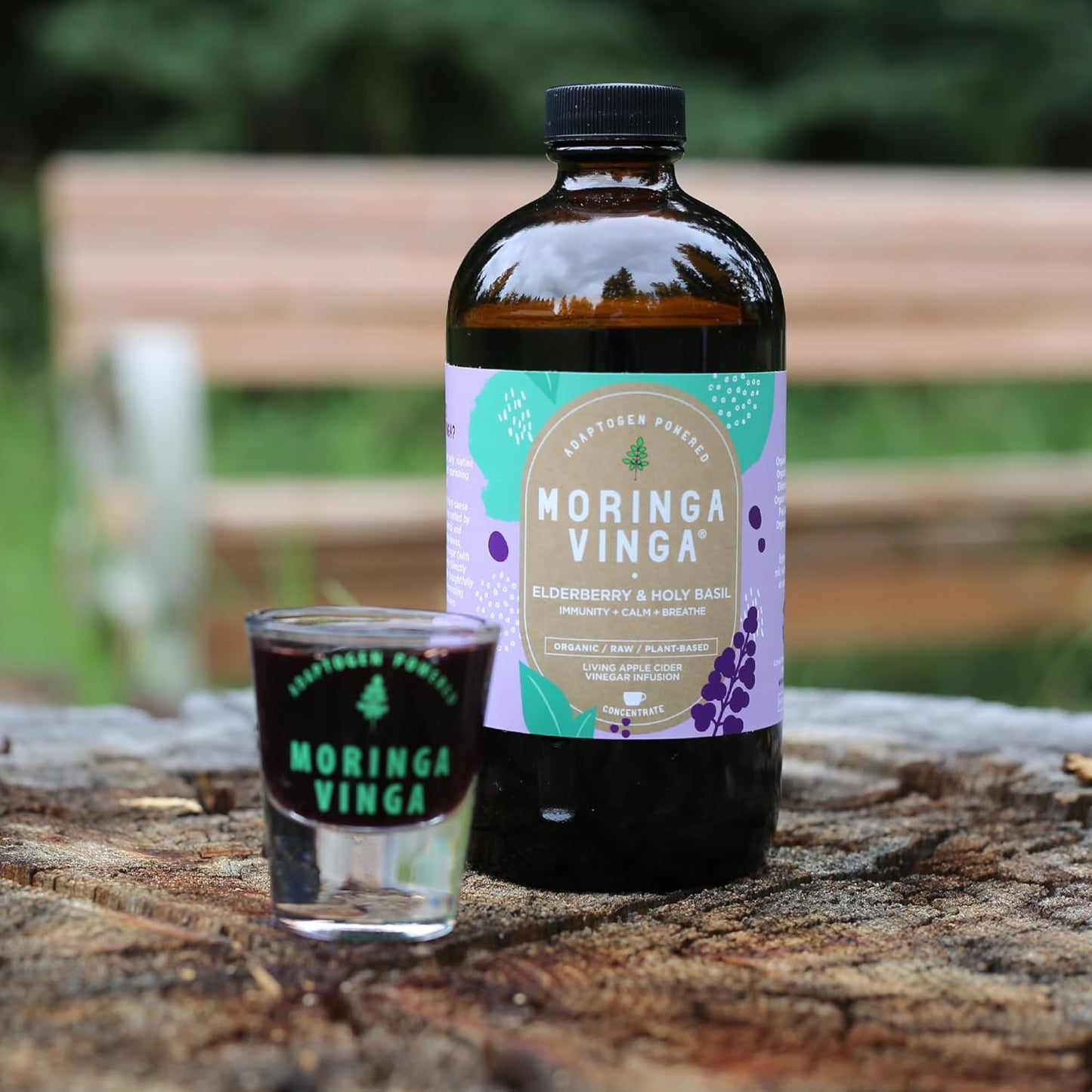 VINGA Organic Elderberry & Holy Basil Moringa Infusion - Immune Support, Respiratory Wellness, Stress Relief Tonic - Apple Cider Vinegar, Ginger, Hibiscus, Honey - Non-GMO, 16 oz