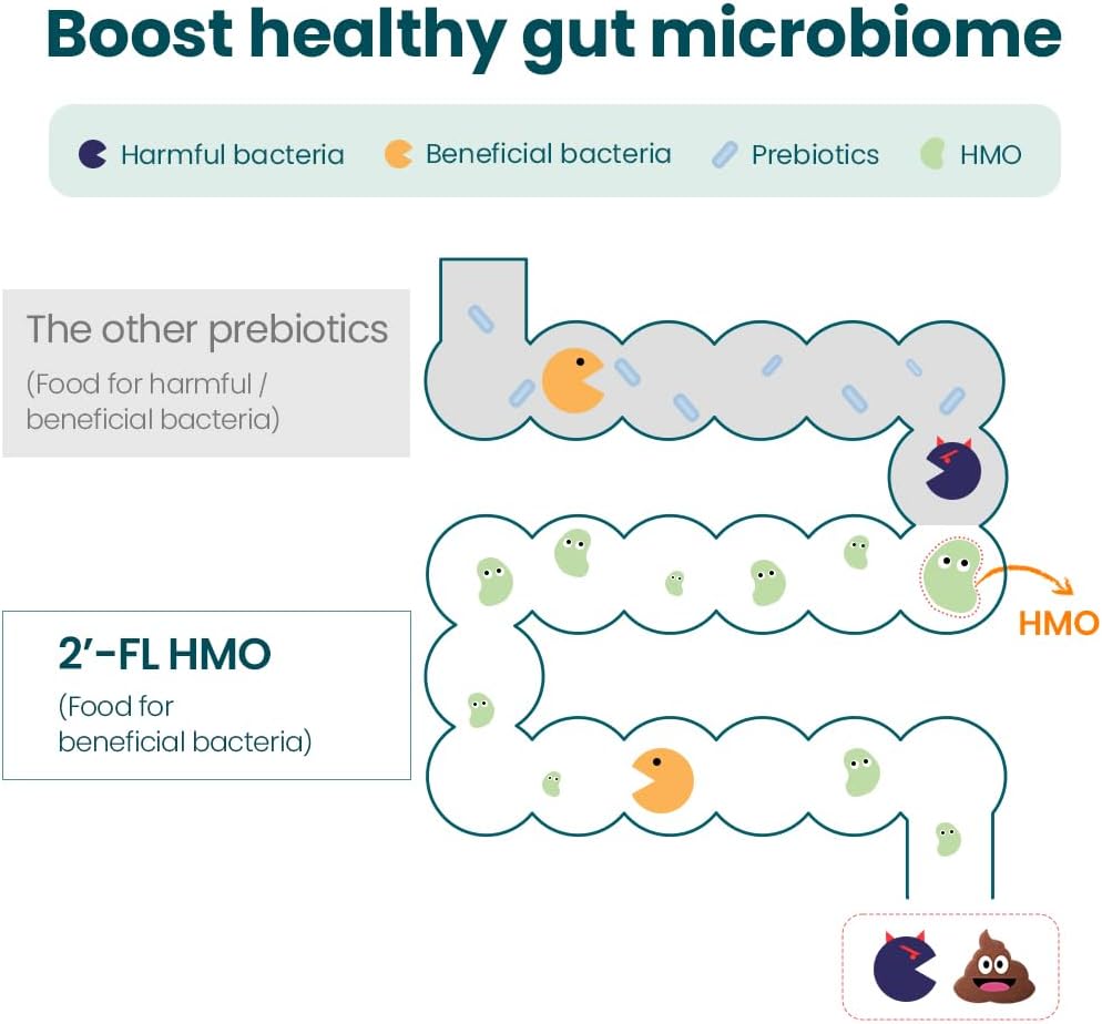 Whole Family Gut Health & Immune Support Probiotic Sticks with Vitamin C, D, Zinc - Improve Cognitive Ability & Sleep Quality - 30 Daily Servings