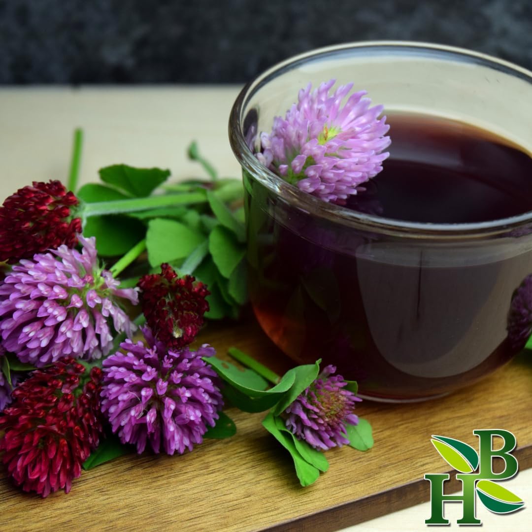 Wildcrafted Red Clover Herb C/S - Trifolium Pratense - 4oz Pack
