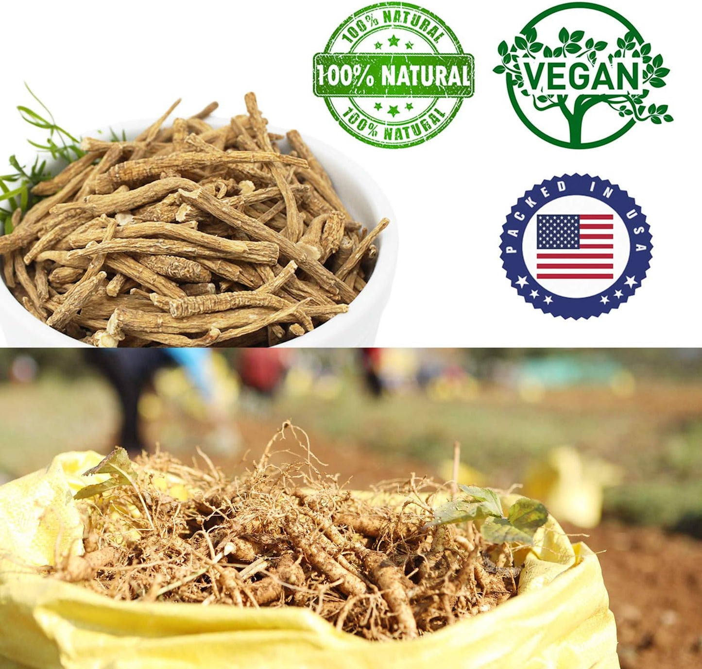 Wisconsin American Ginseng Roots Tea 4oz - Hand-Selected A Grade Cultivated Roots from DABC OAK LAND