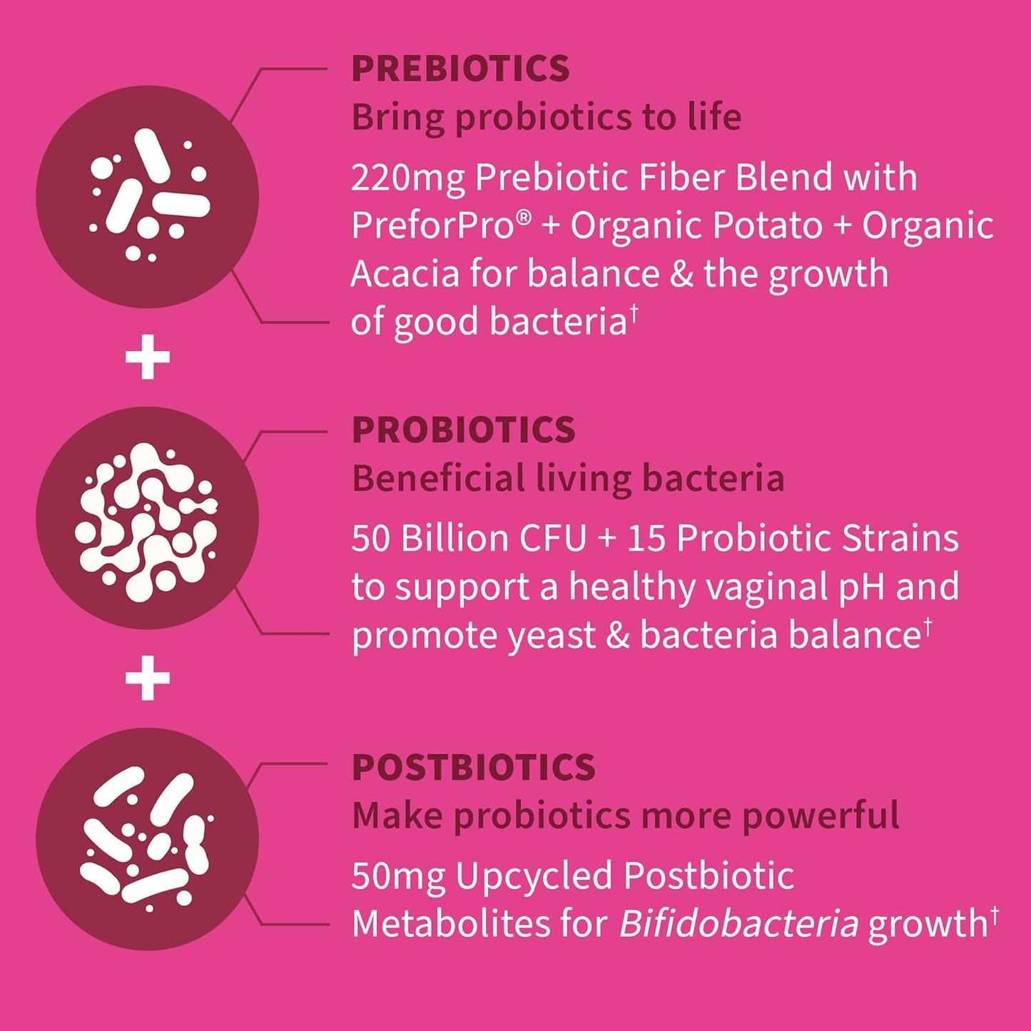 Women's Health Probiotics with Prebiotics, Postbiotics & Zinc - Garden of Life Dr Formulated Once Daily, 30 Day Supply