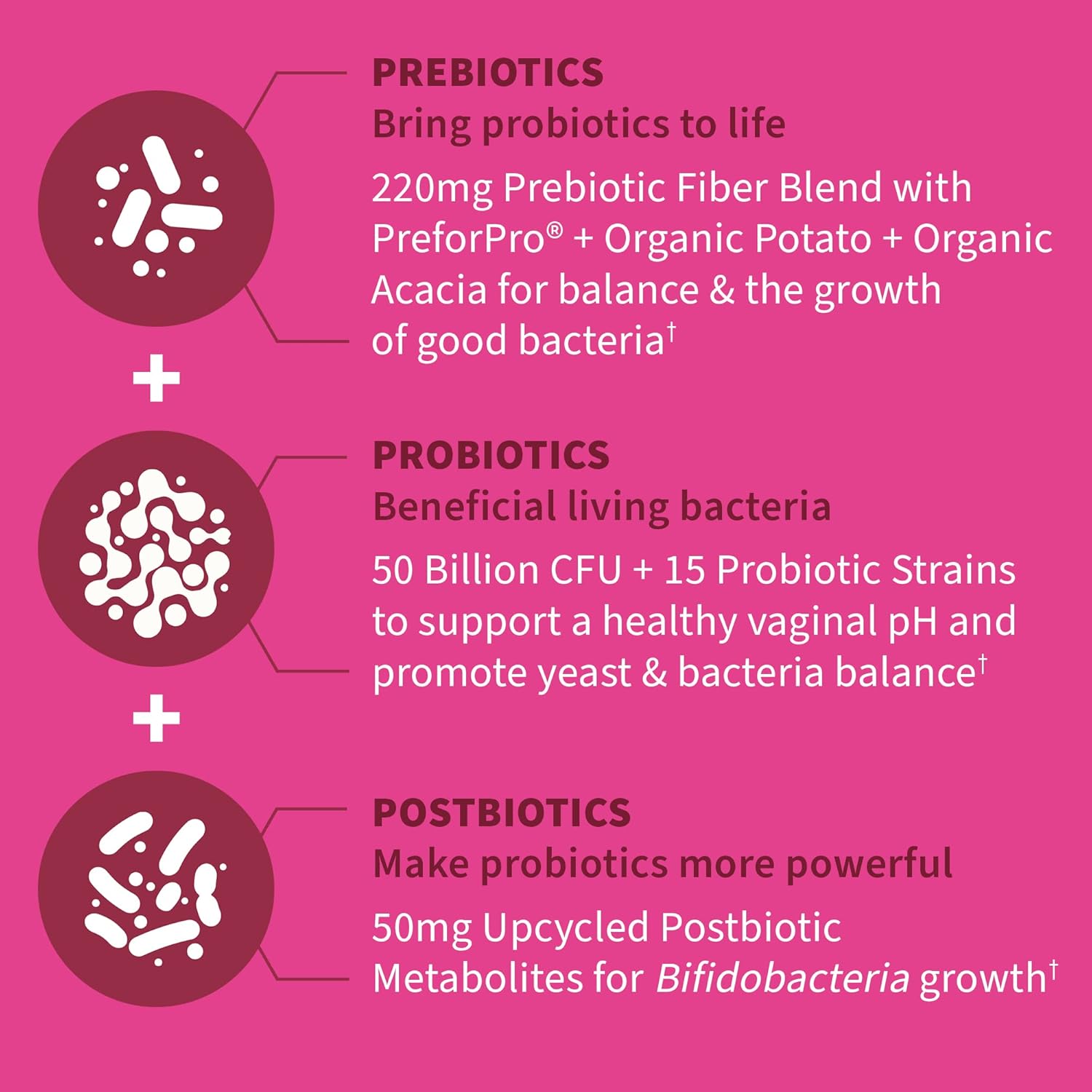 Women's Health Probiotics with Prebiotics, Postbiotics & Zinc - Garden of Life Dr Formulated Once Daily, 30 Day Supply