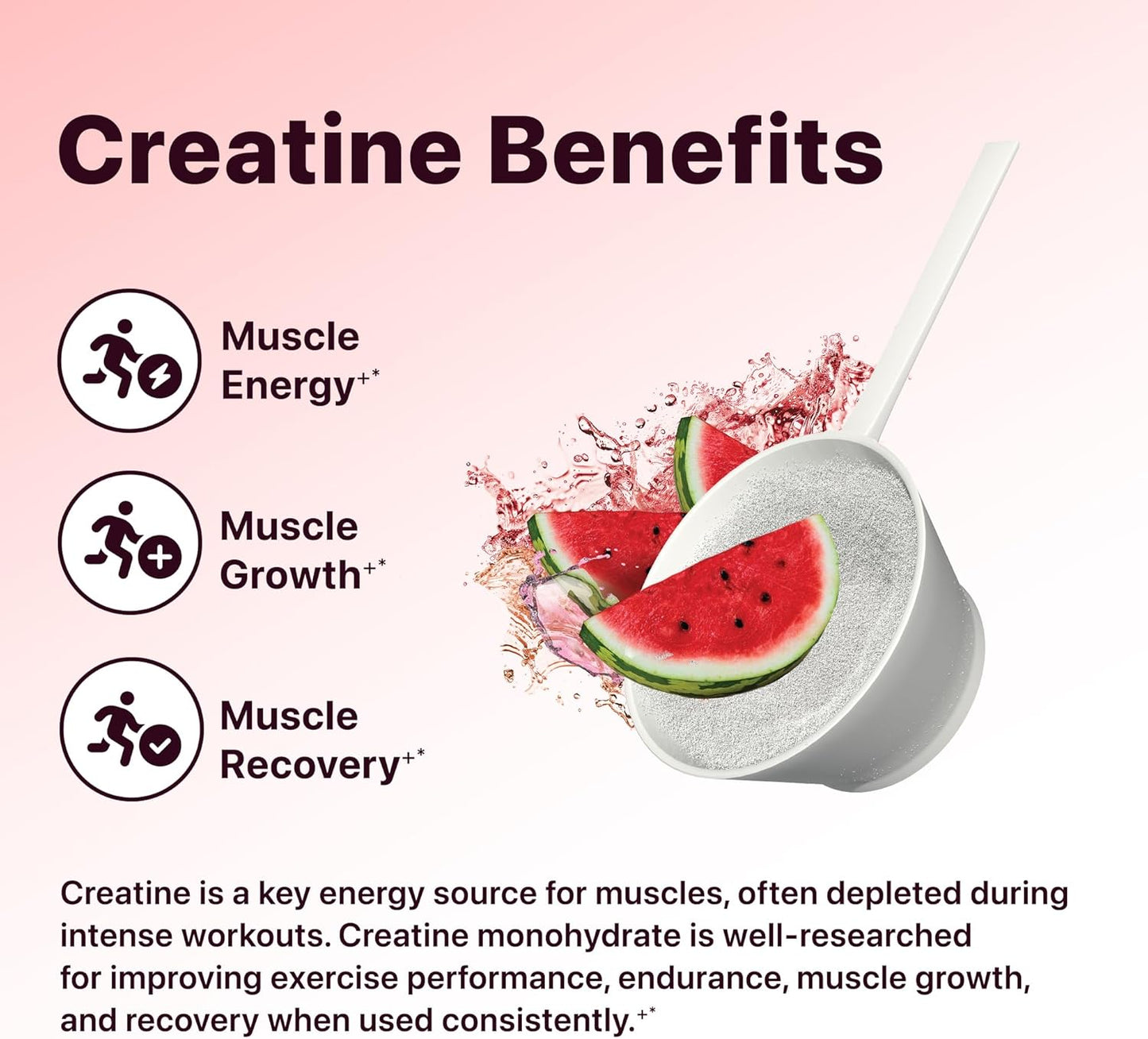 Women's Pre Workout Powder with Creatine, Beta-Alanine, Electrolytes - Watermelon Flavor - 30 Servings for Energy, Endurance, and Muscle Support