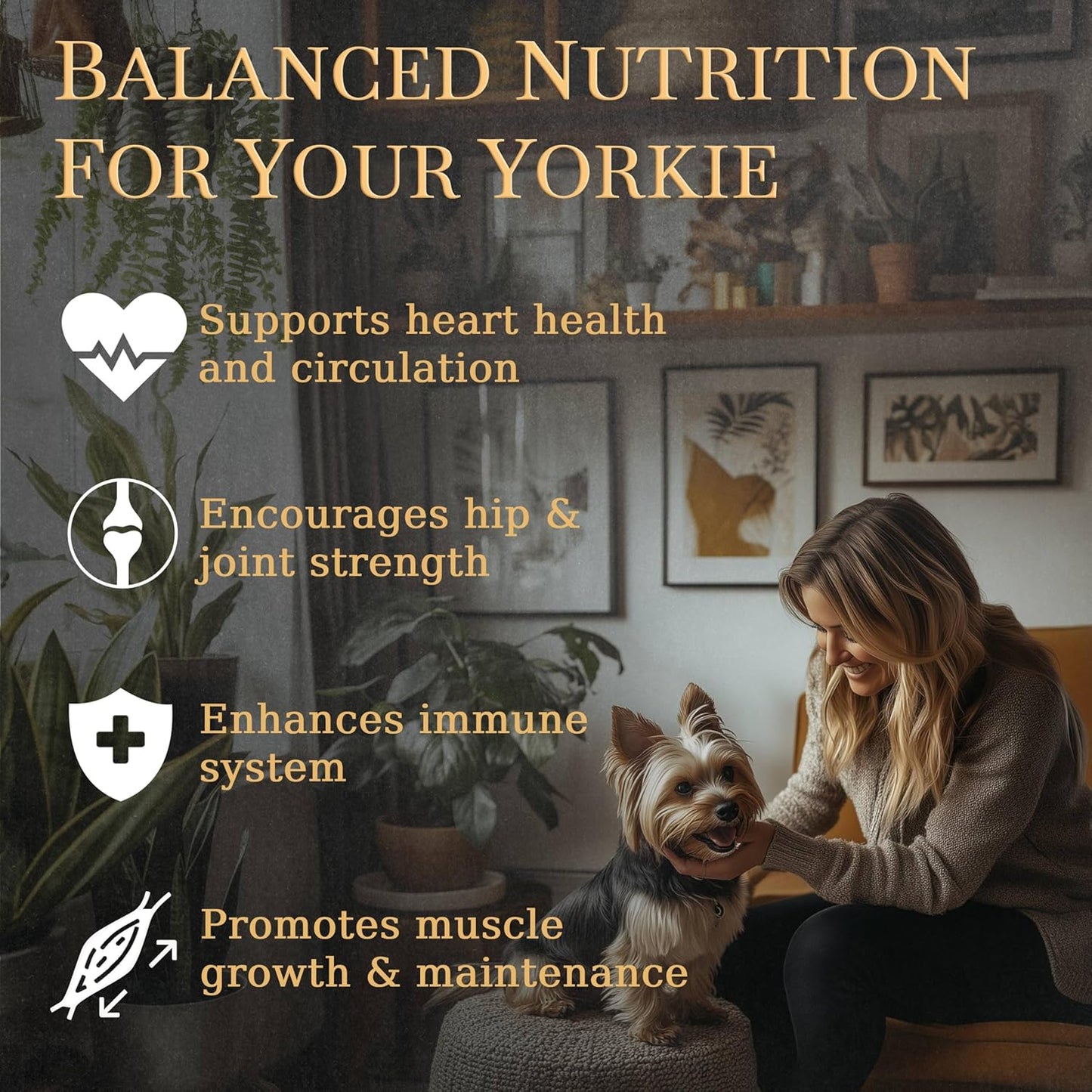 Yorkie Multivitamin Supplement, 90 Count, Made in USA with Real Bacon - Balanced Nutrition for Prestige Breeds
