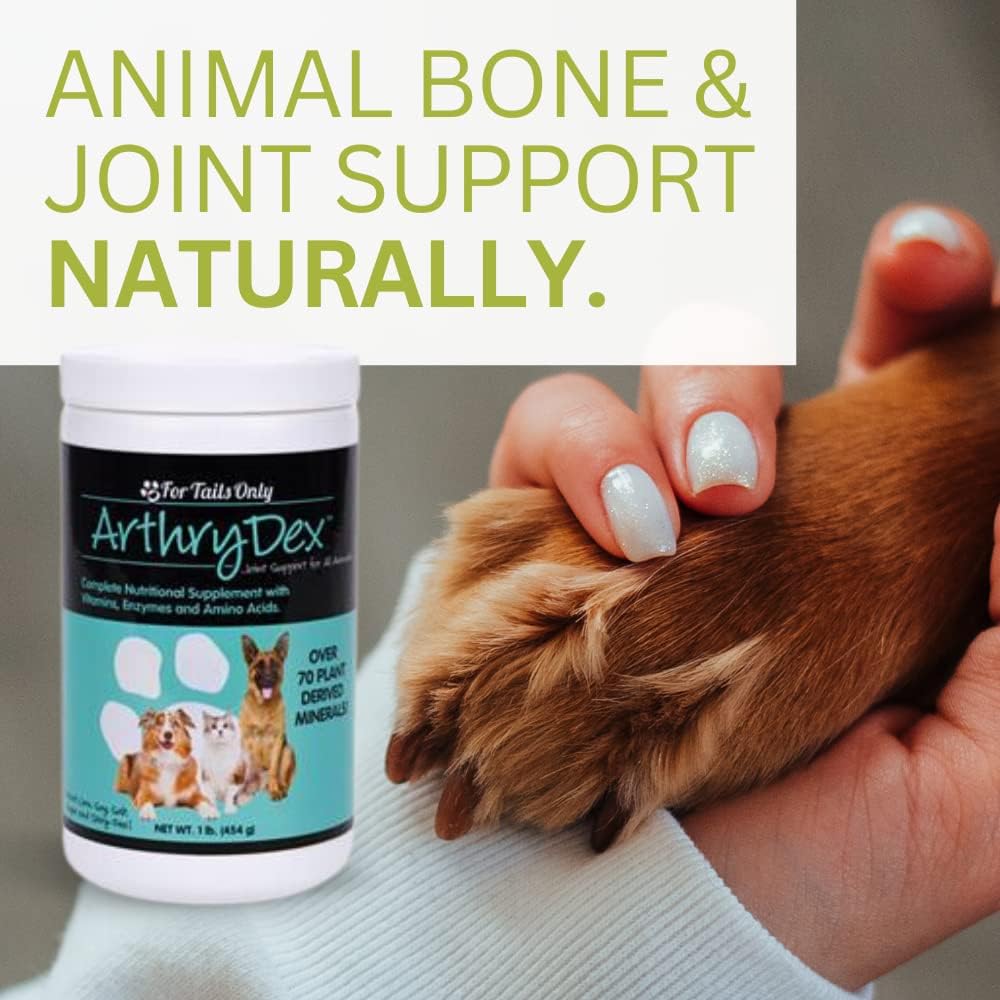 YOUNGEVITY Arthrydex Complete Nutritional Supplement for Pets - Vitamins, Probiotics, Enzymes for Healthy Bones & Joints - 2 lb Canister Pack
