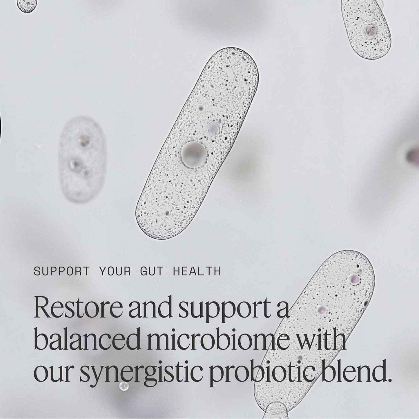 10 Advanced Strains, Prebiotics, and B Vitamins for Total Digestive & Immune Health, Supports Occasional Constipation, Bloating, Diarrhea - 30 Count/Bottle