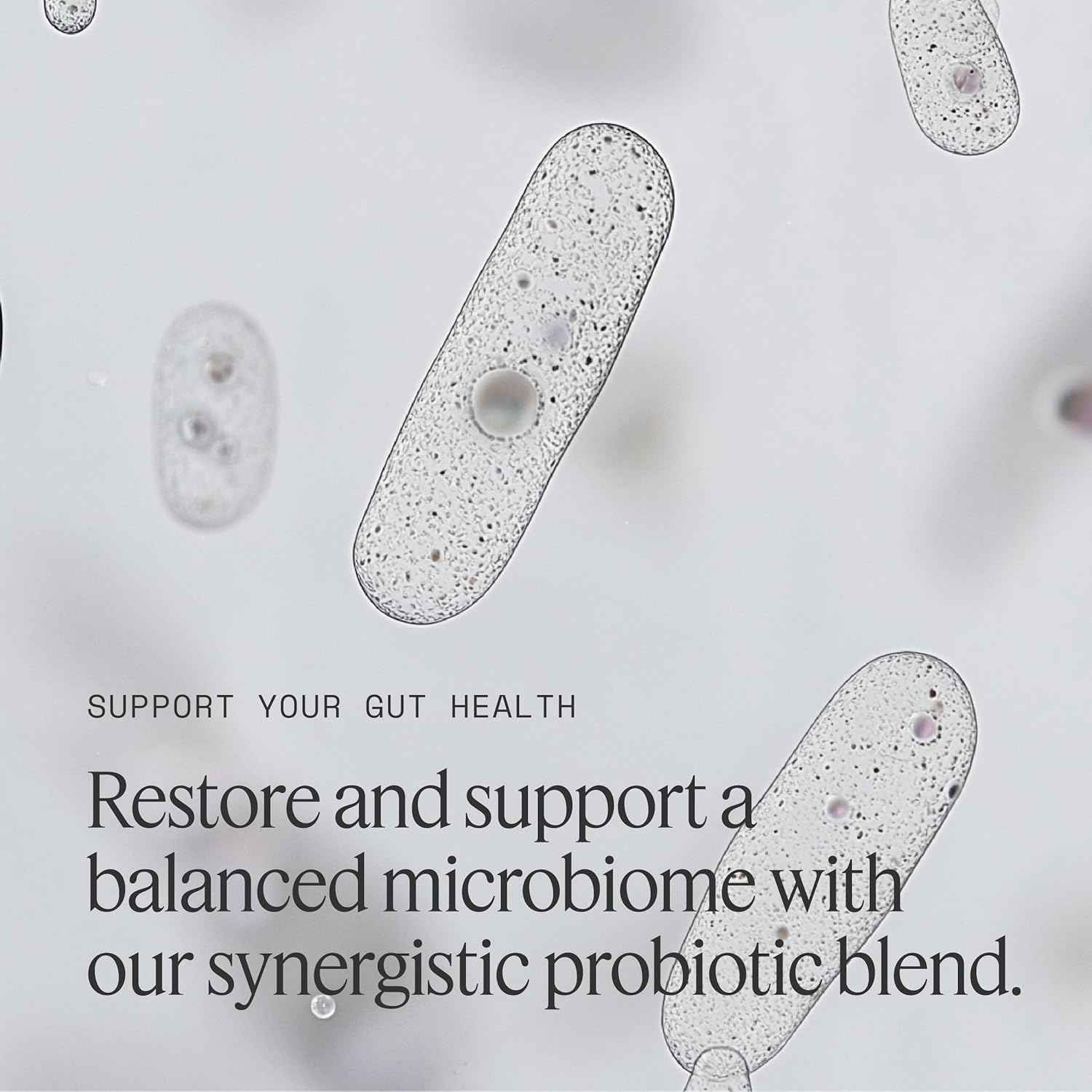 10 Advanced Strains, Prebiotics, and B Vitamins for Total Digestive & Immune Health, Supports Occasional Constipation, Bloating, Diarrhea - 30 Count/Bottle