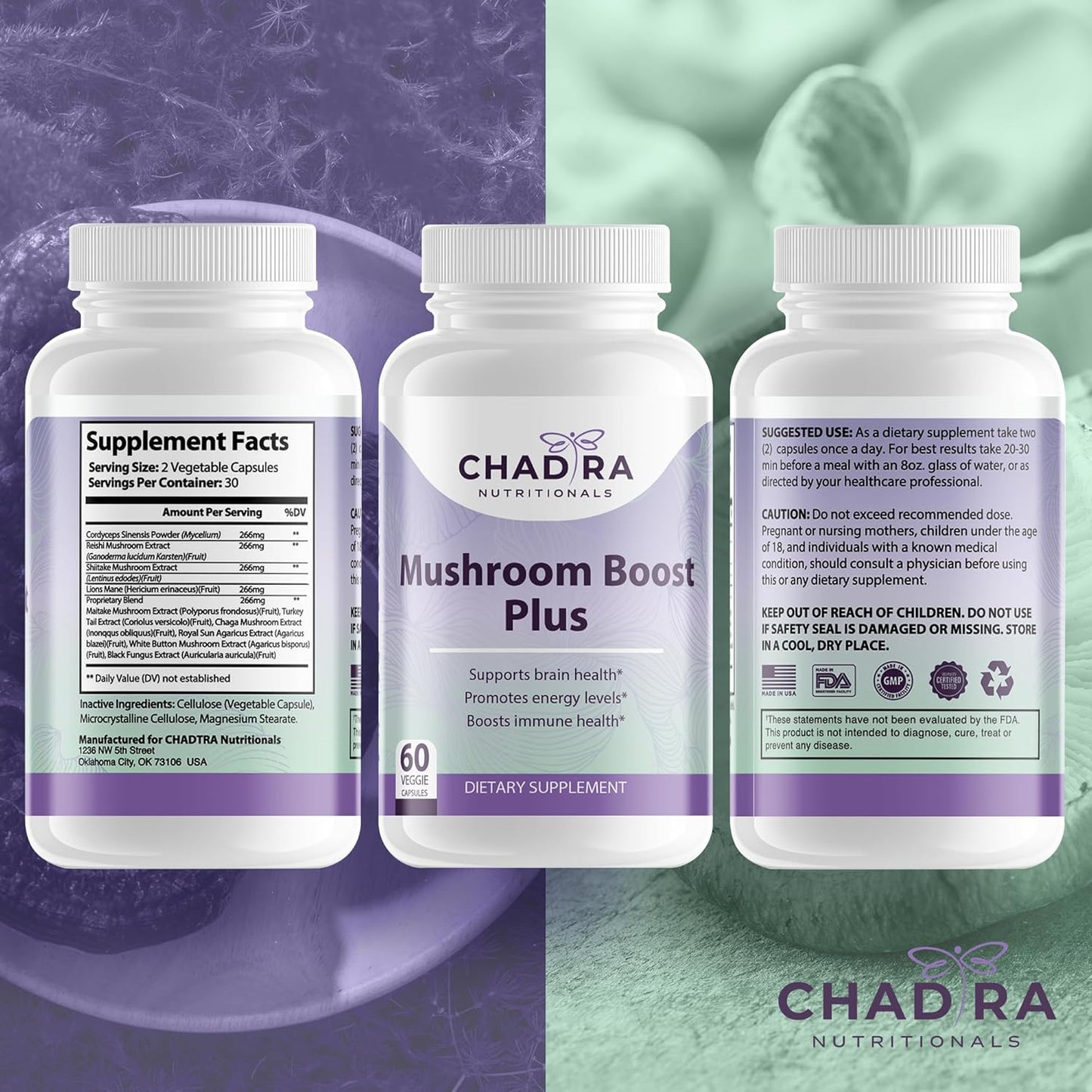10-in-1 Mushroom Supplement for Immune Support, Energy & Brain - 60 Veggie Capsules by CHADTRA NUTRITIONALS