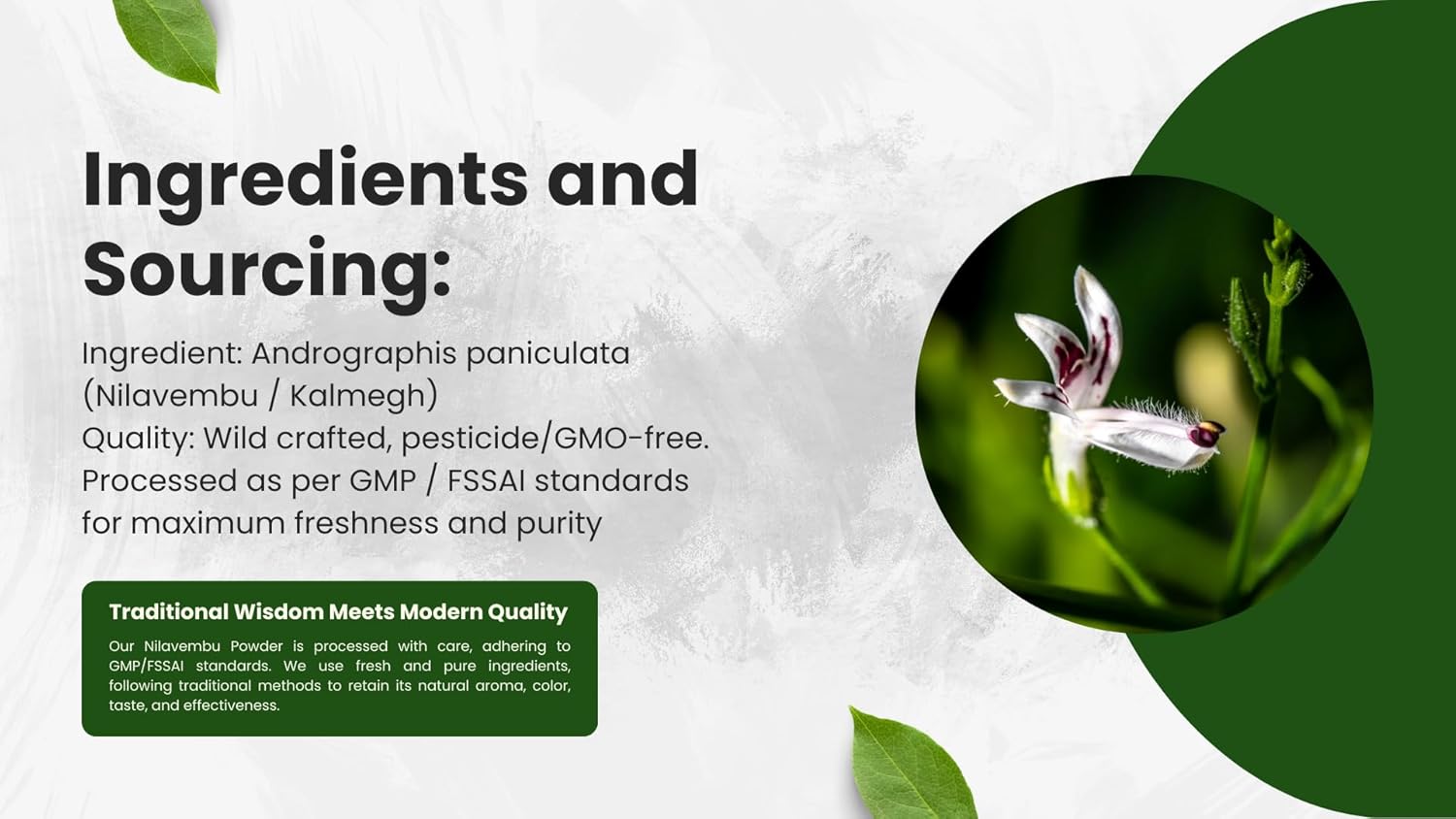 100% Pure Andrographis Paniculata Powder for Natural Immune, Liver, and Digestive Support - 3.5 oz