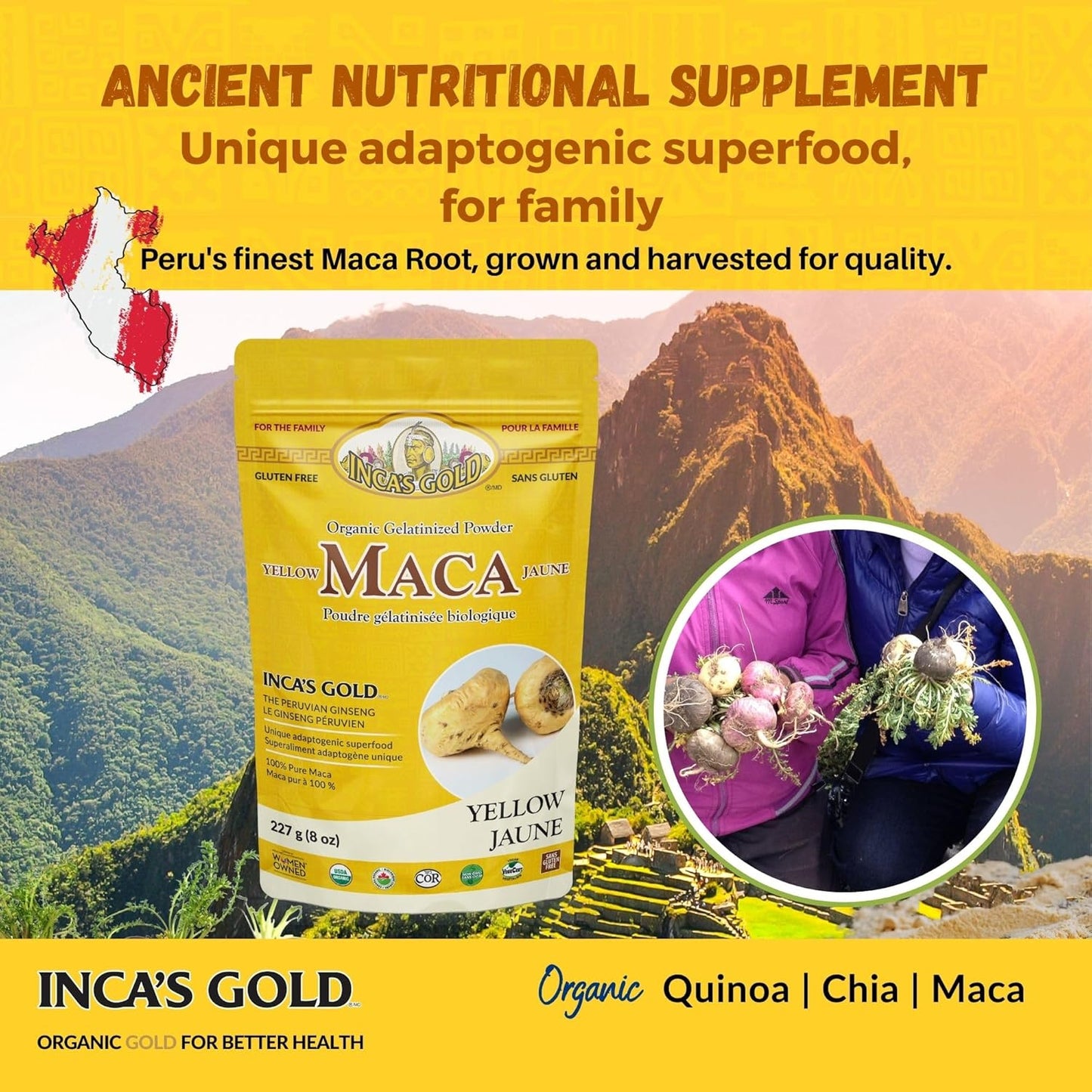 100% Pure Inca's Gold Organic Yellow Maca Gelatinized Root Powder - Supports Overall Vitality, Immune System, Memory, Learning - Family Size Pack of 2 - 908g Total - From Junin Peru